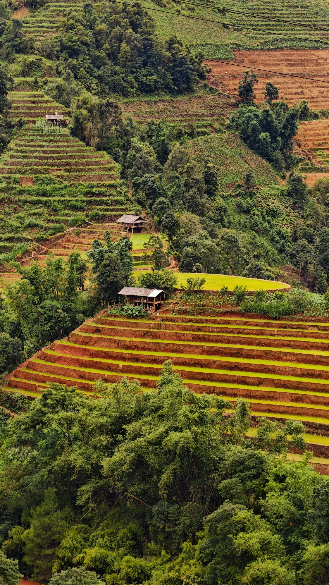 This detailed image depicts a mountainous agricultural landscape in Mù Cang Chải, Vietnam, characterized by extensive rice terraces. The scene is dominated by steep, verdant hillsides meticulously carved into numerous horizontal farming levels.
The terraces display varying stages of cultivation; many are a vivid chartreuse green, indicating young rice plants, while others are a reddish-brown, exposing the soil, suggesting recent tilling or fallow land. Dense clusters of various trees and foliage, predominantly in shades of dark green, cover the uncultivated slopes and fill ravines, contrasting with the structured terraces.
Three traditional wooden stilt houses with dark roofs are integrated into the landscape. One is located in the upper-left section of the image, nestled among green terraces. Two more prominent houses are situated closer to the foreground on separate terraced levels in the mid-lower section. Near the lower of these two houses, a small, indistinct human figure is visible on a path or terrace, suggesting daily activity.
Thin, dark lines, likely power or communication cables, traverse the upper portion of the scene, indicating limited modern infrastructure within the rural setting. The overall impression is one of harmonious human adaptation to a rugged, fertile mountainous environment, focused on rice cultivation.
