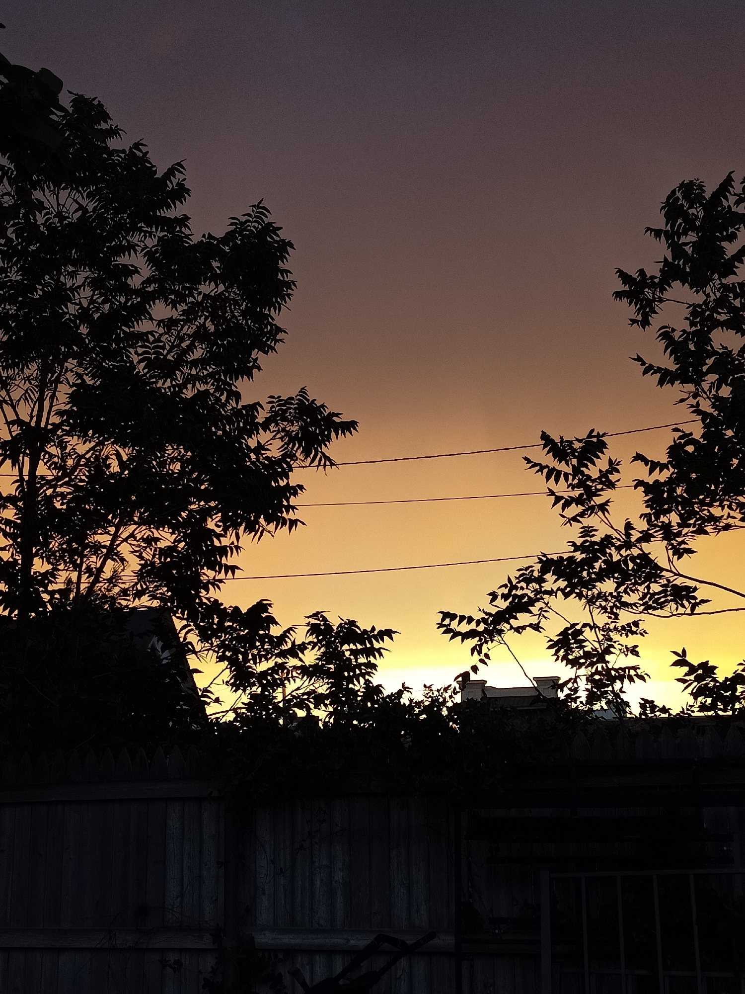 An outdoor, eye-level, medium shot captures a silhouetted backyard scene at dusk in Amarillo, United States of America. The foreground is dominated by a dark wooden fence, with a smaller section of black metal fencing visible to the right. Above the fence, the branches and leaves of trees are silhouetted against a gradient sky that transitions from a deep purple at the top to a bright yellow near the horizon. Three horizontal power lines are visible across the mid-section of the sky. The outlines of buildings and more tree foliage are discernible as dark shapes behind the fence and below the power lines. The overall impression is one of a quiet, end-of-day atmosphere.
