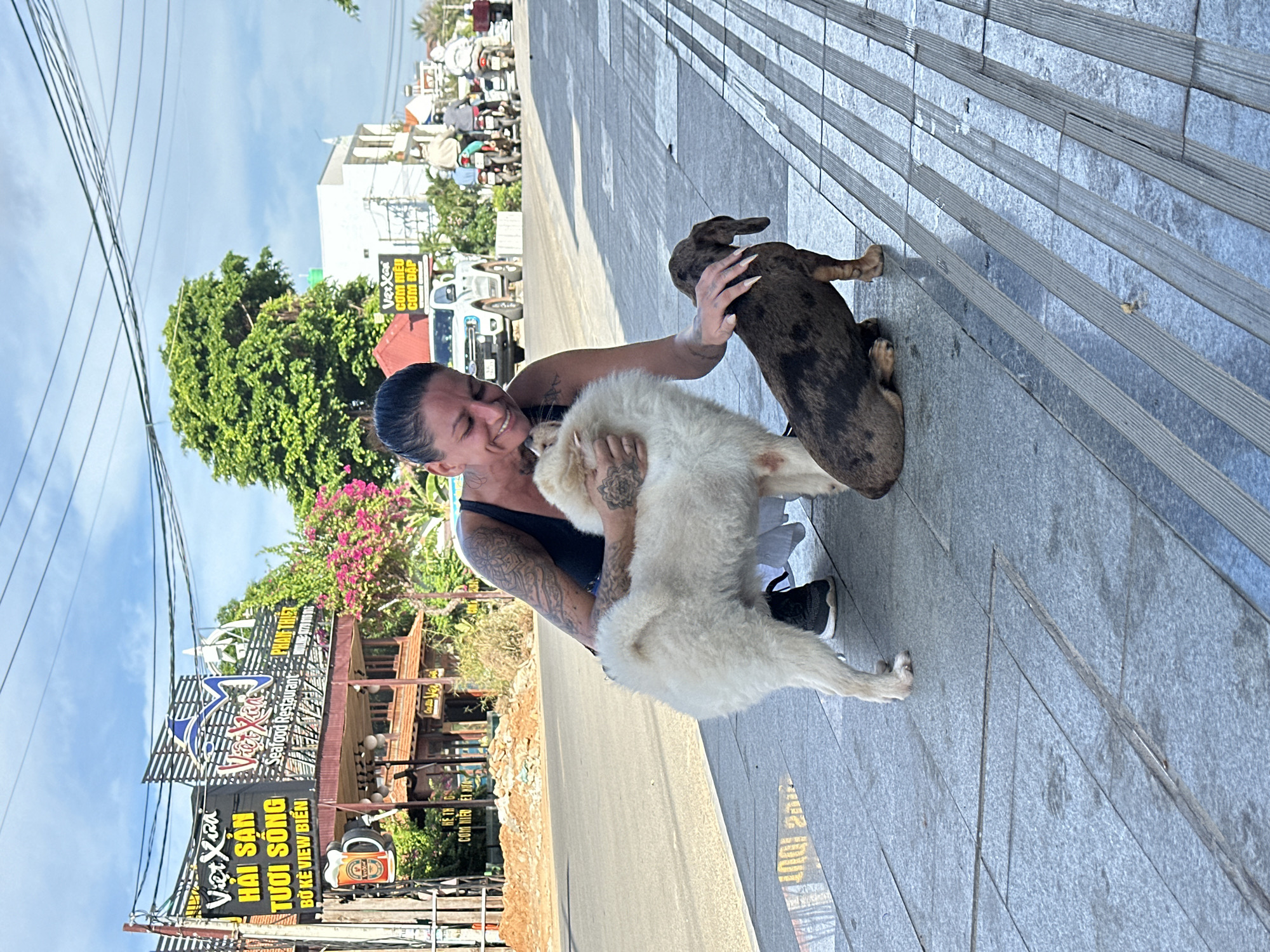 A woman is kneeling on a sidewalk in front of a street, interacting with two dogs. She is wearing a dark tank top and has tattoos on her arms. One dog, a fluffy white Samoyed or similar breed, is standing and being petted by the woman. The other dog, a short-haired dachshund with a mottled brown and black coat, is sitting on the sidewalk and being petted by the woman. The sidewalk is paved with gray stone tiles and has raised tactile paving. In the background, there is a street with vehicles, including motorcycles and a white pickup truck. Buildings with signs are visible, including one with Vietnamese text that reads "Viet Xuan Hai San Tuoi Song Bo Ke View Bien," indicating a seafood restaurant in Phu Thuy Ward, Vietnam. Trees and power lines are also present. The sky is blue with some clouds.