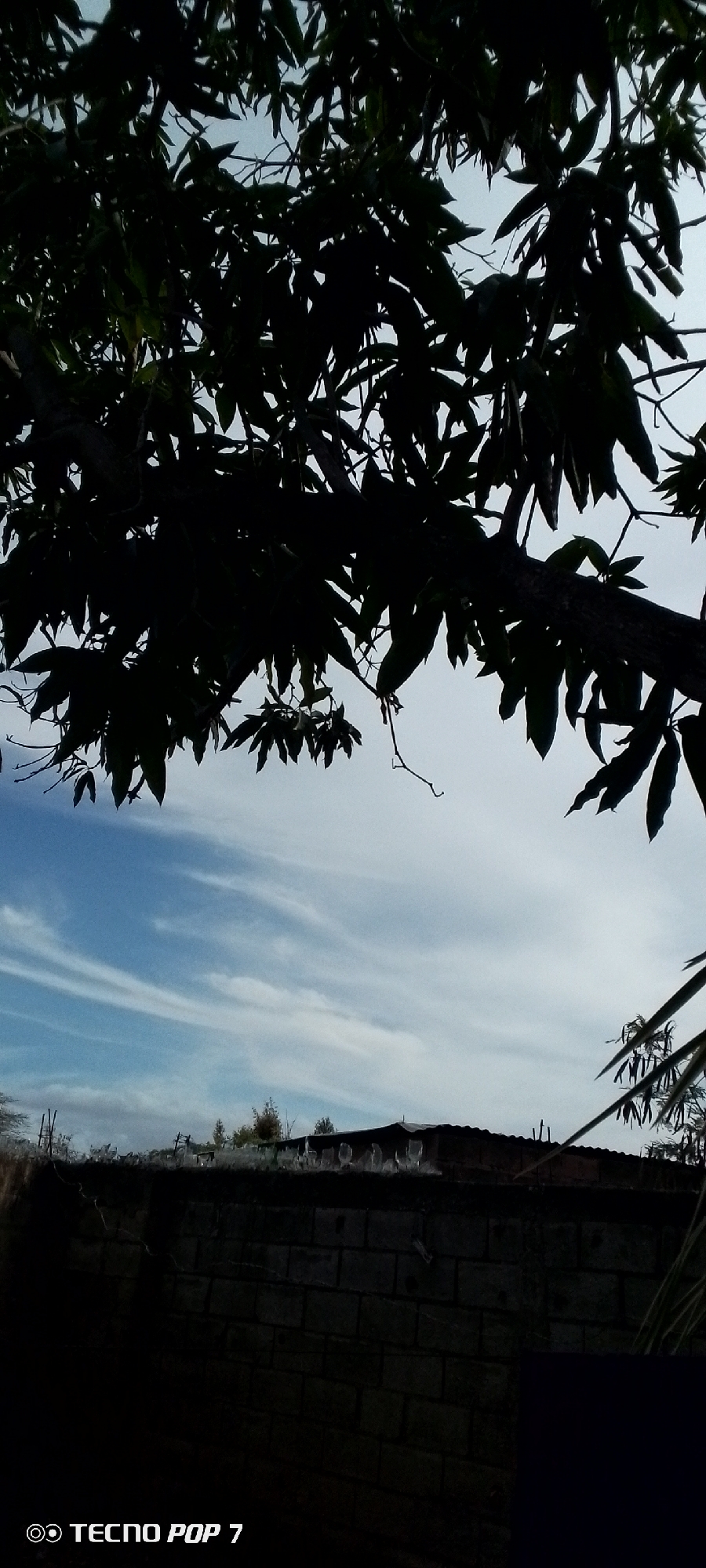 The image presents a view framed by the silhouette of tree branches and leaves against a partially cloudy sky. Below the sky, a low brick wall is visible, topped with assorted objects including what appears to be plastic containers. In the background, hints of vegetation and a building roofline can be discerned. The image was taken with a Tecno Pop 7 device. The scene is presented without contextual clues beyond the visible elements.