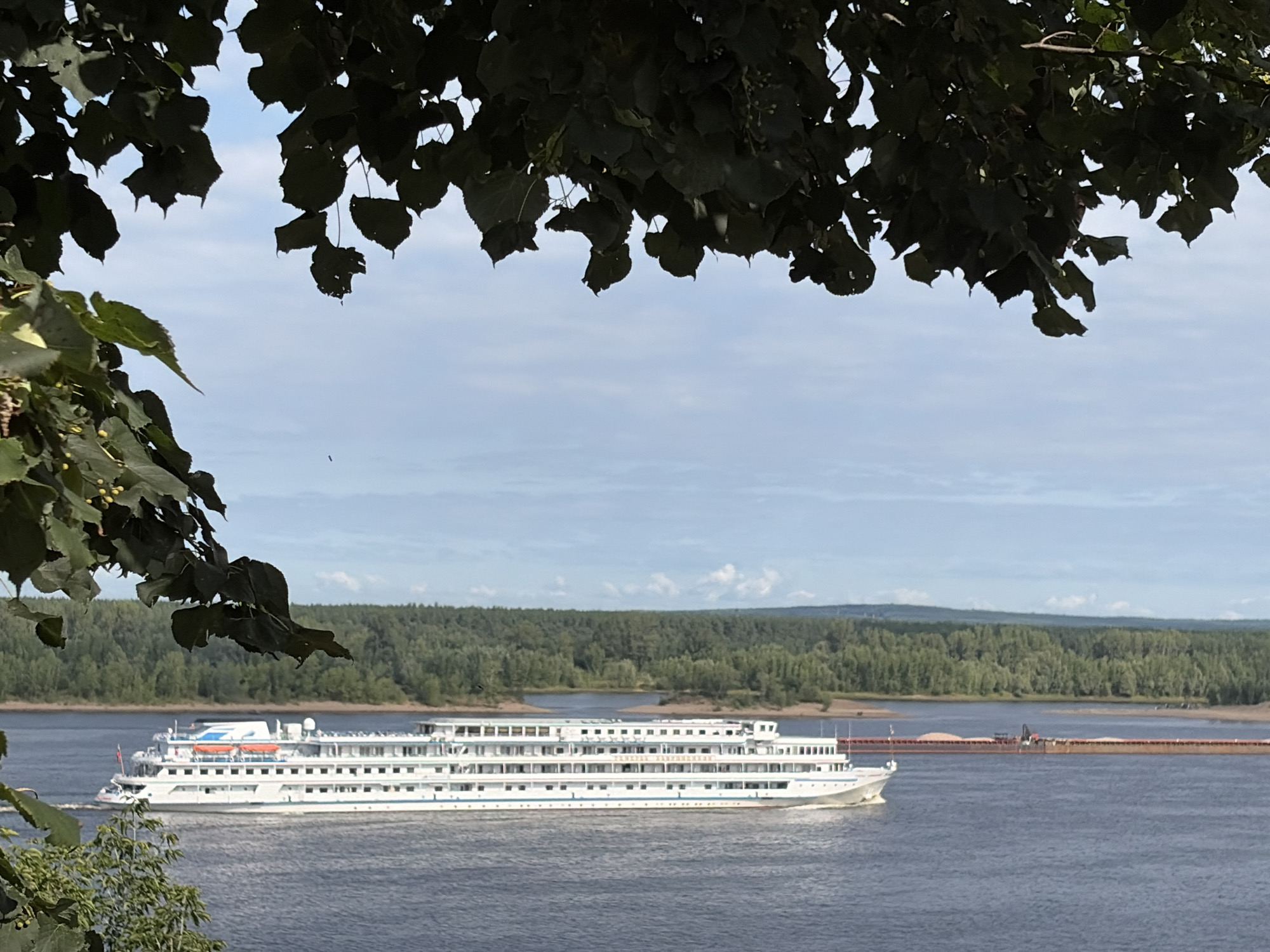 An outdoor, wide shot captures a large, white, multi-decked passenger ship sailing on a wide, dark blue river. The ship is positioned in the lower left quadrant of the image. Its hull is white with a blue stripe along the waterline and a blue stripe running across the upper deck. Several rows of windows are visible on each deck. There is an orange life raft on the top deck, and a flag is flying at the stern. In the distance, a long, flat-topped barge loaded with light-colored material is being pushed by a tugboat. The riverbank is lined with a dense forest of green trees, and a hazy, blue sky with scattered white clouds fills the upper portion of the frame. Dark green leaves from a tree in the foreground partially obscure the top of the image and extend down the left side. The scene appears to be in the city of Olkhovka, Russia, based on contextual information.
