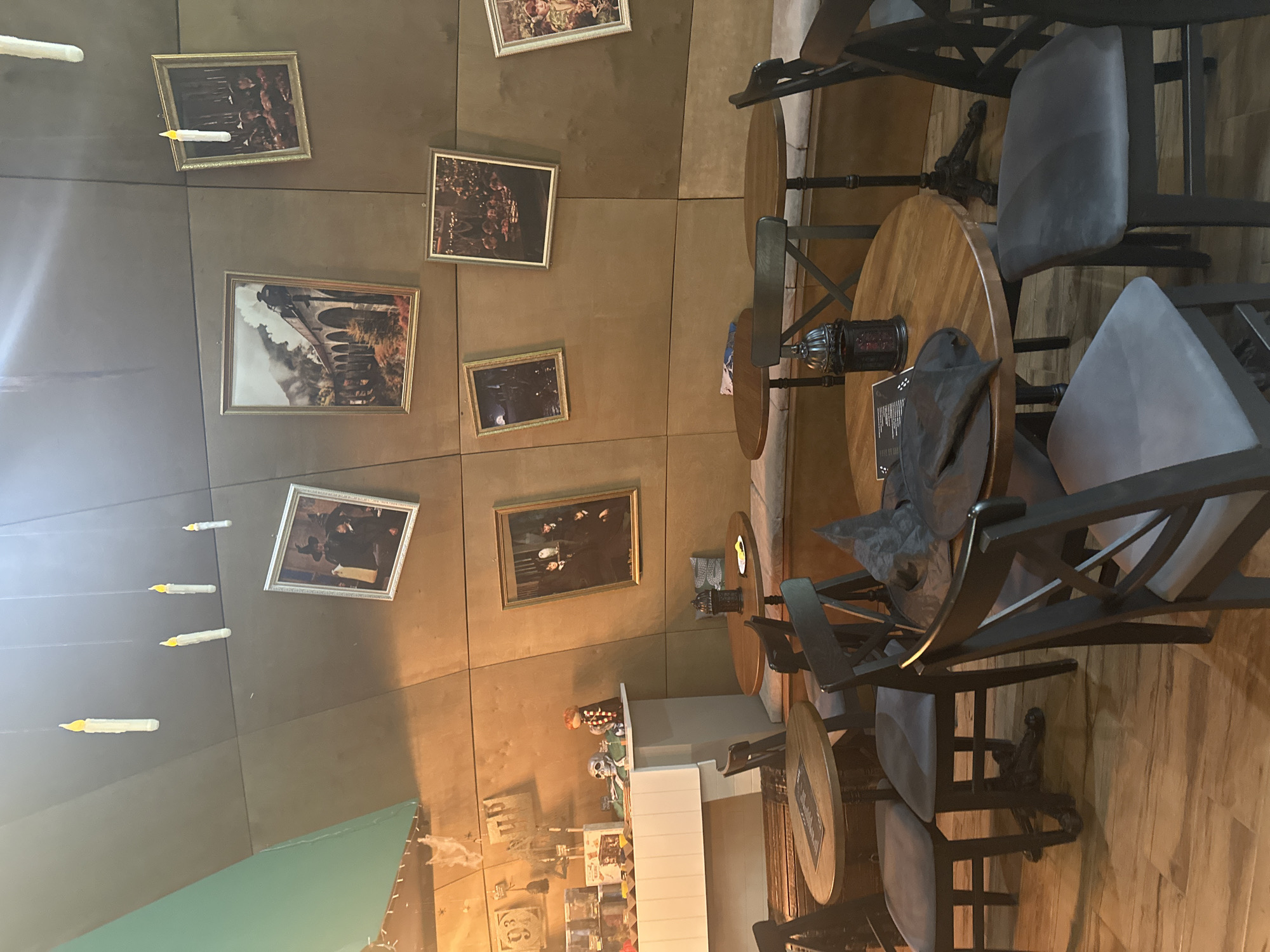 The image shows the interior of a cafe, likely in Berdsk municipality, Russia, designed with a Harry Potter theme. The walls are decorated with framed images reminiscent of the movie series, along with suspended candles. The foreground features wooden tables with dark gray chairs arranged around them. A wizard's hat rests on one of the tables, reinforcing the Harry Potter theme. The overall impression is of a cozy and themed dining environment.