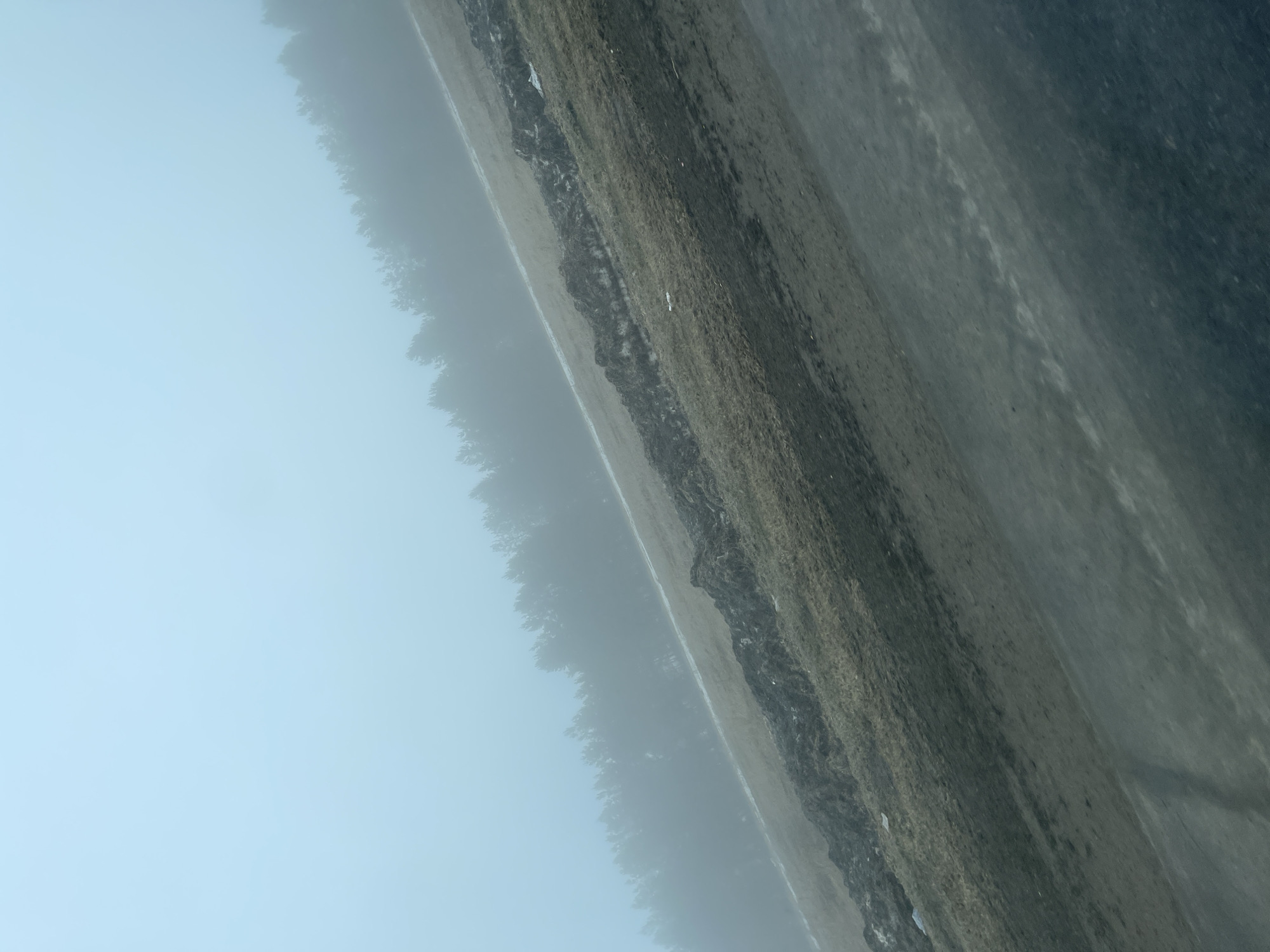 The image shows a landscape in Kolosovka, Russia. On the left side, there is a dense fog or mist that obscures the view of the trees. To the right of the trees, the ground slopes upwards, covered in vegetation and some rocks. A road or paved surface is present on the right edge of the image.