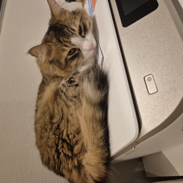 A tabby cat with a white muzzle, chest, and paws lies on a white surface, likely a printer. The cat’s brown and black fur is visible, and its tail curls around its body. The printer has a silver metallic finish and a black screen, with a power button visible on the side. The background is a white wall. The cat's eyes are open, and its head is turned slightly.