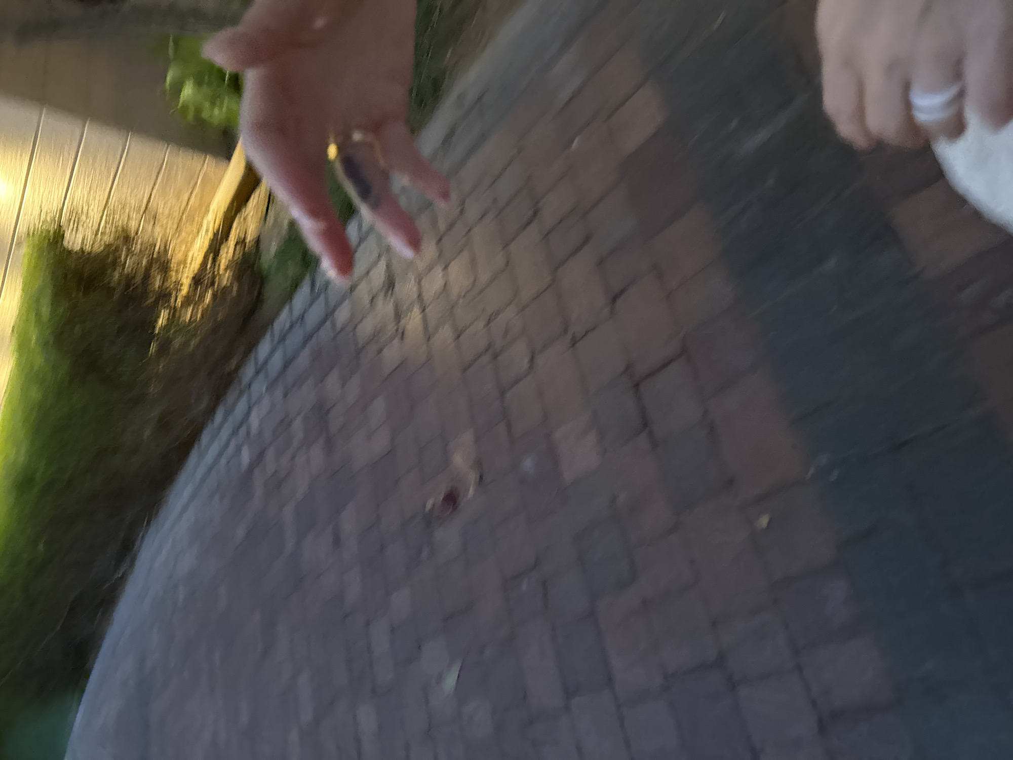 The image shows a close-up, motion-blurred view of a paved walkway and a person's hands. One hand, in the upper right, is wearing a ring and appears to be holding something small, possibly an insect or a leaf. Another hand, in the lower right, is also wearing a ring. The walkway is made of dark, rectangular pavers. In the background, there is a blurry area of green foliage and a structure with horizontal siding illuminated by a light source, suggesting an outdoor setting. The overall impression is of a casual outdoor scene. There is no indication of the specific location in Dubai, United Arab Emirates.