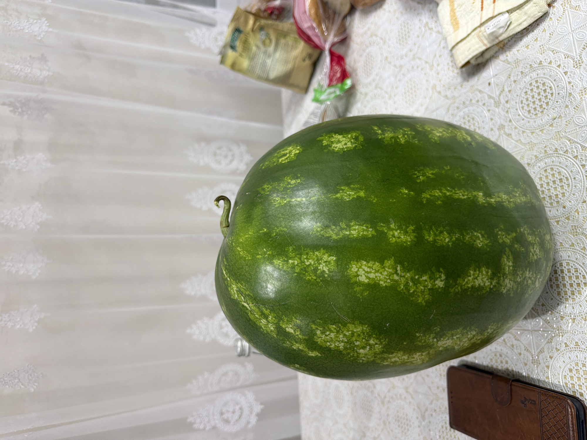 A large, green watermelon with light green stripes sits on a white tablecloth with an intricate lace pattern. The watermelon is the primary subject, positioned centrally in the frame. To the left of the watermelon, a brown leather phone case is visible. In the background, sheer white curtains with embroidered floral patterns are drawn, covering a window. To the right of the watermelon, there are some food items, including a bag of chips or snacks and what appears to be a plastic-wrapped bundle of bread or pastries. A glass bottle with a silver cap is also present on the table, partially obscured by the watermelon. The lighting suggests an indoor setting, likely a kitchen or dining area. The scene does not depict any people or specific actions, presenting a still life arrangement. The location of this scene is in Strășeni, Moldova.