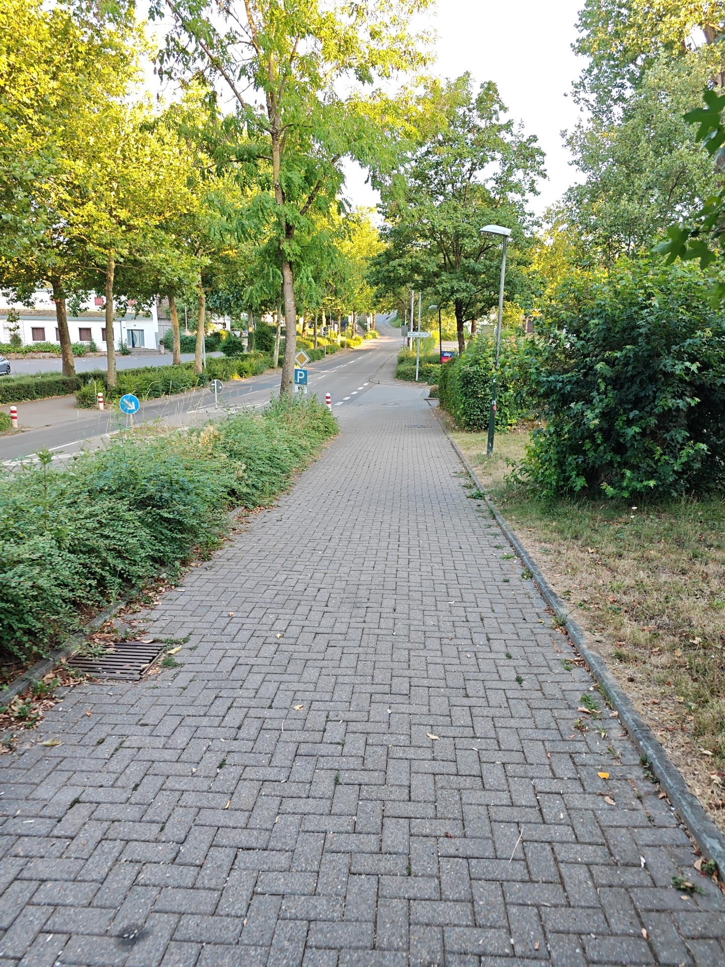 This media file depicts a sidewalk in Nordheim, Germany, lined with trees and bushes. The perspective is from the sidewalk looking down a gently sloping road. The time of day appears to be late afternoon or early evening, as indicated by the warm, golden light filtering through the leaves of the trees. The weather is likely clear and pleasant, with the sun casting long shadows.
The sidewalk is paved with grey interlocking bricks laid in a herringbone pattern. To the left of the sidewalk, a well-maintained hedge separates it from a road, on which a car is partially visible in the distance. Further to the left, a row of houses with white facades and red-tiled roofs can be seen. On the right side of the sidewalk, there is a strip of dry grass and more dense foliage.
Several street signs are visible: a blue circular sign with a white arrow pointing downwards and to the left, indicating a route or direction; a yellow diamond-shaped sign; and a blue square sign with a white "P" for parking. There are also red and white bollards along the edge of the road. A lamppost with a modern design stands further down the road. A drain grate is visible on the left edge of the sidewalk, near the bottom of the frame.
The scene evokes a sense of tranquility and everyday life in a suburban environment. There are no people visible in the frame, suggesting a moment of quiet before or after peak activity. The overall impression is one of order and natural beauty, with the greenery and sunlight creating a warm and inviting atmosphere.