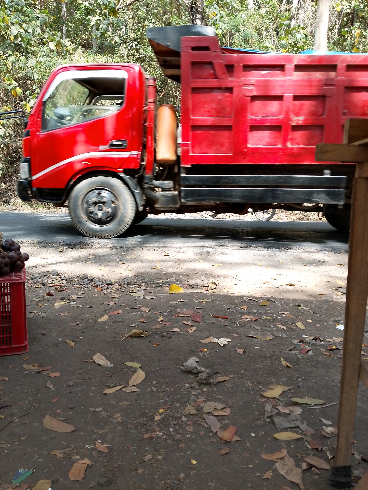 In Pagak, Indonesia, a red dump truck is captured in motion, its side facing the camera, on an asphalt road. The truck is a light-duty model with a prominent red cab and a larger, red cargo bed. The background consists of dense foliage, indicating a rural or semi-rural setting. In the foreground, to the left of the frame, a red plastic crate is filled with dark-colored fruits, possibly longan or lychee, arranged in bunches. The ground is a mix of dirt and scattered dry leaves, with some small stones visible. A wooden structure, likely part of a roadside stall or a fence, is partially visible on the right side of the image. The lighting suggests it is daytime with sunlight casting shadows.
