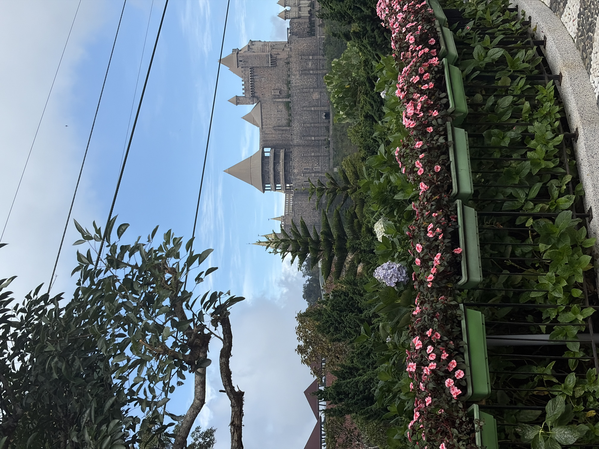 The image shows a view of a castle-like structure in the distance, likely part of the Sun World Ba Na Hills complex in Đà Nẵng, Vietnam. The structure is made of gray stone, has multiple towers and levels. In the foreground, a railing with green planters is filled with pink flowers and other greenery. Trees frame the left side of the image, and overhead power lines are visible against a blue sky with scattered clouds. The scene depicts a tourist viewpoint with a blend of natural and man-made elements.