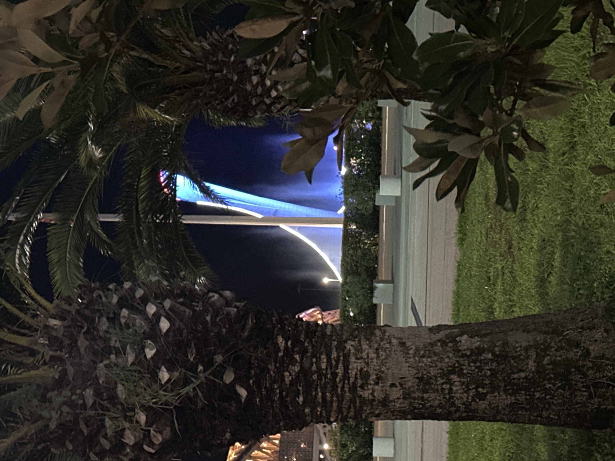This image depicts a nighttime scene with a focus on a water fountain display. In the foreground, the trunks of two palm trees frame the view. To the left, a person in a colorful garment stands near a low, manicured hedge. Behind the hedge, a large, brightly lit blue and white structure, likely part of the fountain's illumination or design, dominates the background. White lights also trace the edge of a curved water jet. The ground appears to be paved, with a strip of green grass in the immediate foreground. In the distance, more greenery and lighting are visible, suggesting an urban or park setting. The overall impression is of a vibrant, illuminated nighttime attraction. Given the distinctive architecture and lighting, this scene is likely located at the Sochi Discovery World Aquarium, a popular tourist attraction in Sochi, Russia, known for its impressive water features and illuminated displays.