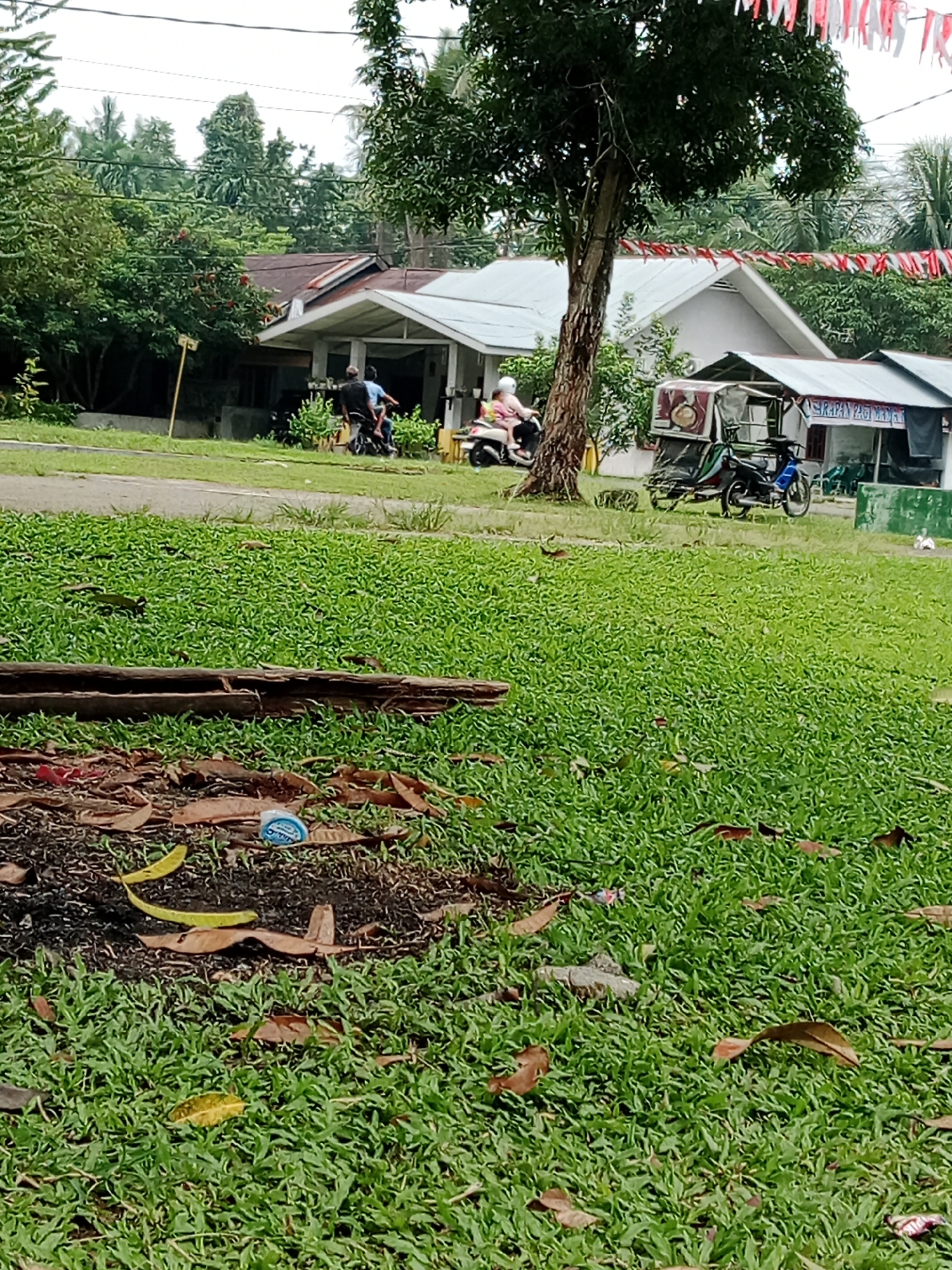 The image captures a scene in the City of Binjai, Indonesia, likely on a residential street or near a communal area. In the foreground, a patch of well-maintained green grass is scattered with dry leaves and a blue plastic bottle cap. A long, weathered piece of wood lies horizontally across the grass. In the mid-ground, a paved surface transitions into more grass. On this paved area, two individuals are riding a motorcycle. Behind them, a residential building with a white roof and open-air overhang is visible, bordered by lush green vegetation. Further to the right, a small food stall with a silver roof and a sign displaying Indonesian text is situated. Next to the stall, a blue and black three-wheeled motorized vehicle, possibly a becak or a modified motorcycle with a sidecar, is parked. Red and white decorative banners are strung across the scene, suggesting a local celebration or event. The background reveals more trees and foliage, characteristic of a tropical environment. The overall impression is one of a casual, everyday scene in an Indonesian town.