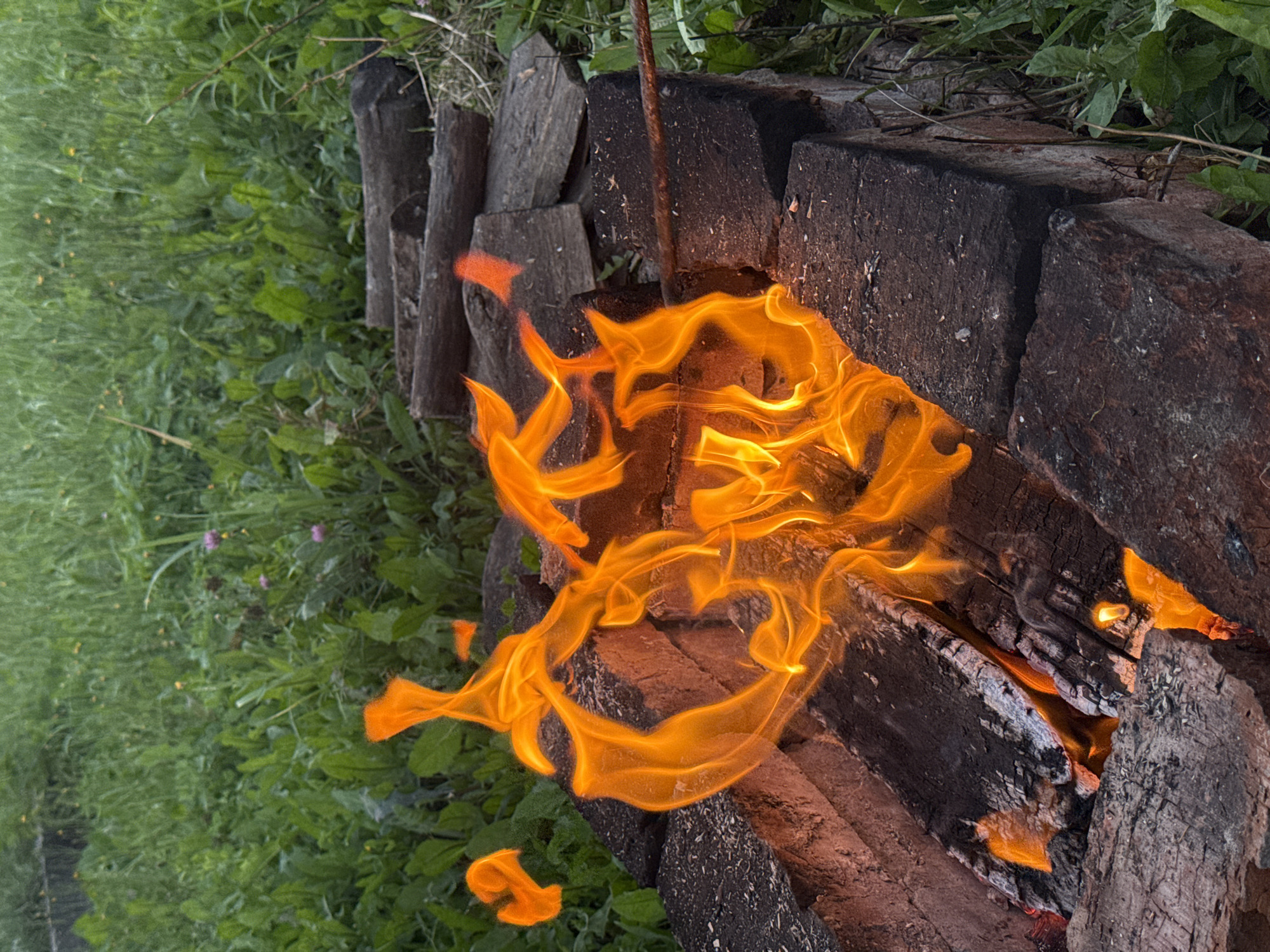A close-up, eye-level shot captures a vibrant fire burning within a brick fire pit. The flames, predominantly orange and yellow, dance energetically, illuminating the surrounding charred wood and bricks. The fire pit is constructed from dark, weathered bricks, with several pieces of firewood stacked inside, some of which are actively burning. Behind the fire pit, a dense green lawn is visible, dotted with a few small pink wildflowers. Several pieces of split logs are also laid out on the ground behind the fire pit, suggesting preparation for a fire. A thin, rusty metal rod extends from the right side of the frame, piercing the edge of the fire pit and reaching into the flames. The overall scene conveys a sense of a rustic outdoor setting, likely in a backyard or campsite.