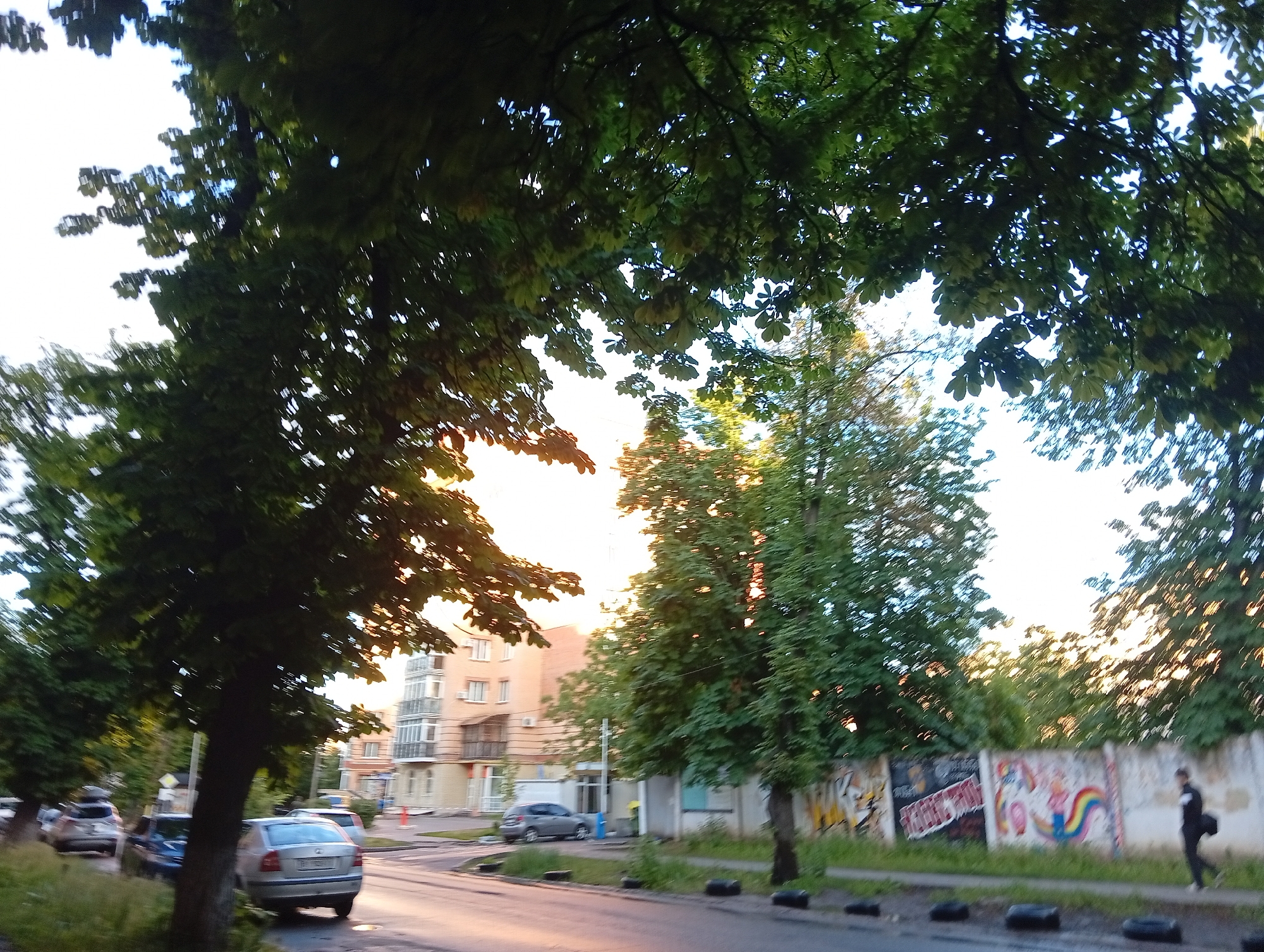 The image depicts a street in Poltava, Ukraine, taken during the evening. The scene includes a row of trees lining the street, with a mix of modern apartment buildings and lower structures visible in the background. The road is asphalt and shows signs of wear. A few cars are parked along the side of the road. A long concrete wall on the right side of the street is covered in graffiti. A person is walking along the sidewalk next to the graffiti wall, carrying a dark bag over their shoulder. The light is soft, suggesting either sunrise or sunset.