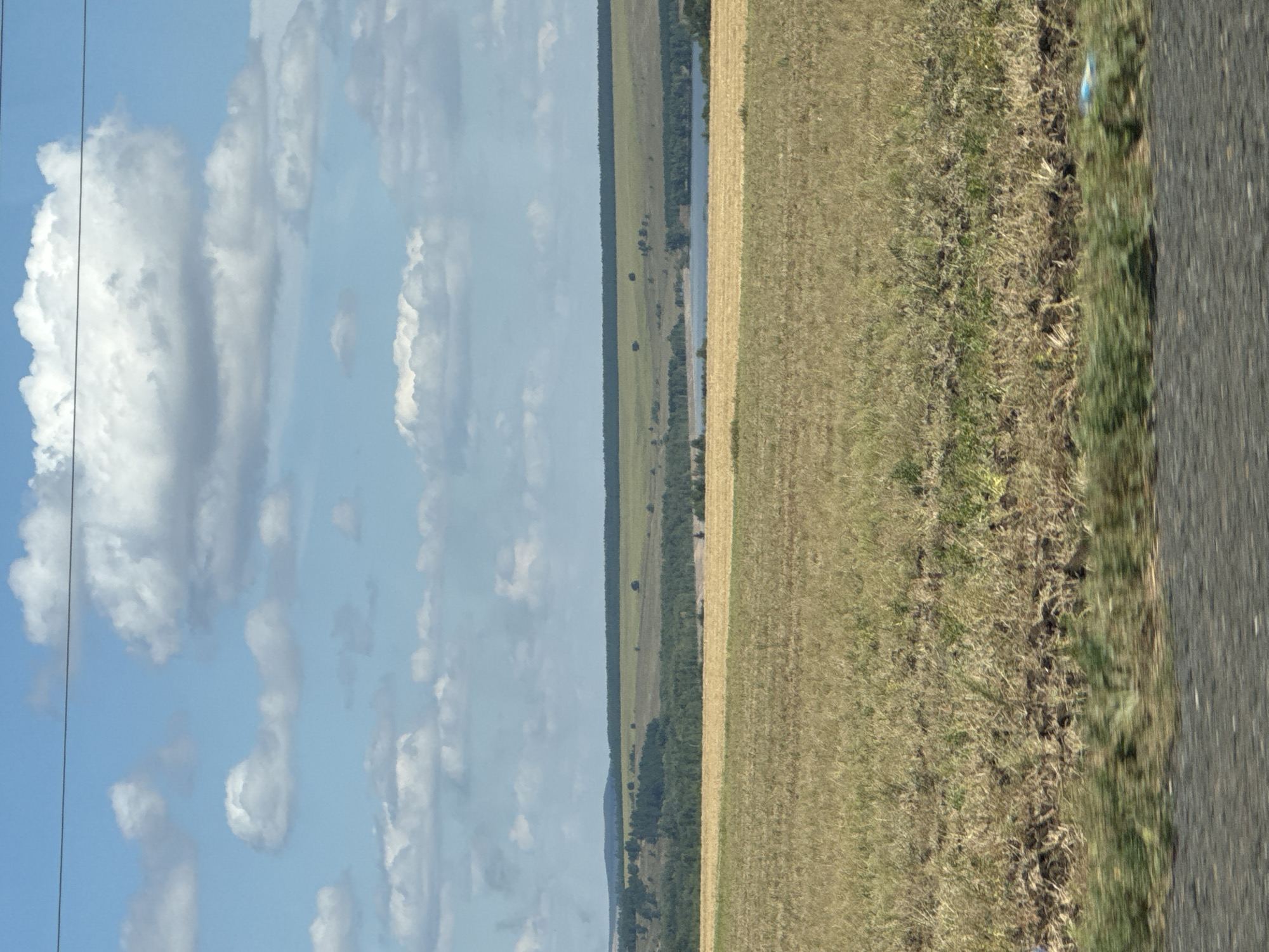 This is a wide, horizontal, eye-level shot of a rural landscape under a partly cloudy sky, taken from a moving vehicle. In the foreground, a dark, asphalt road is visible, blurred by motion, with a patch of green grass and dried vegetation at its edge. Beyond the road, a large field of dry, golden-brown grass stretches towards the horizon, also showing signs of recent harvesting. Further in the distance, a dark green band of trees lines the middle ground, with rolling hills of green and brown visible behind them. A body of water, likely a lake or large pond, is visible in the distance between the treeline and the hills. The sky is a bright blue with scattered white, fluffy clouds. The overall scene depicts a typical summer day in an agricultural region.