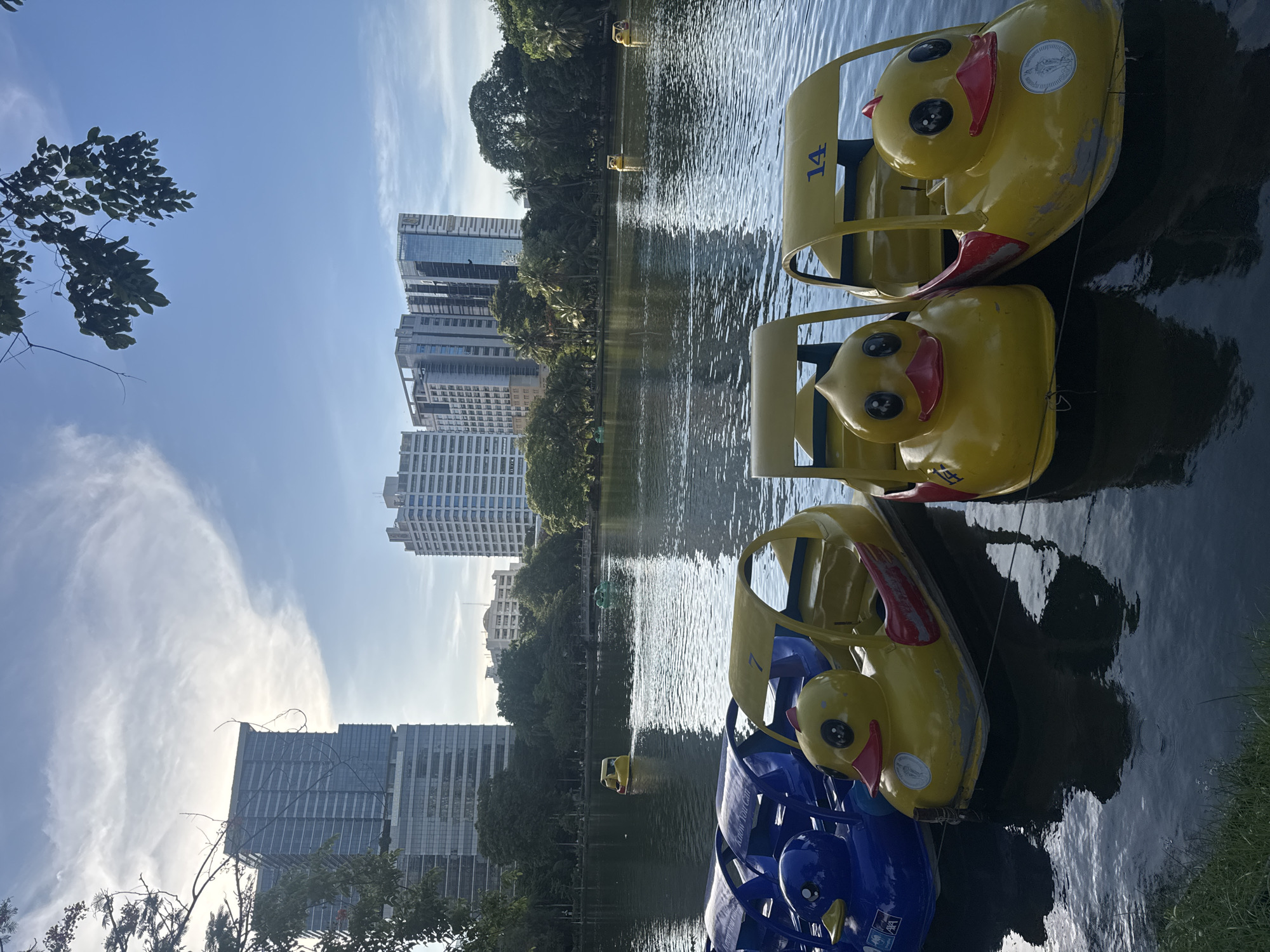 The image shows several duck-shaped paddle boats floating on a lake in Bangkok, Thailand. The boats are yellow and blue, with cartoonish duck faces on the front. In the background, there are tall buildings and trees. The sky is blue with some clouds. The water is calm and reflects the boats and the surrounding scenery.