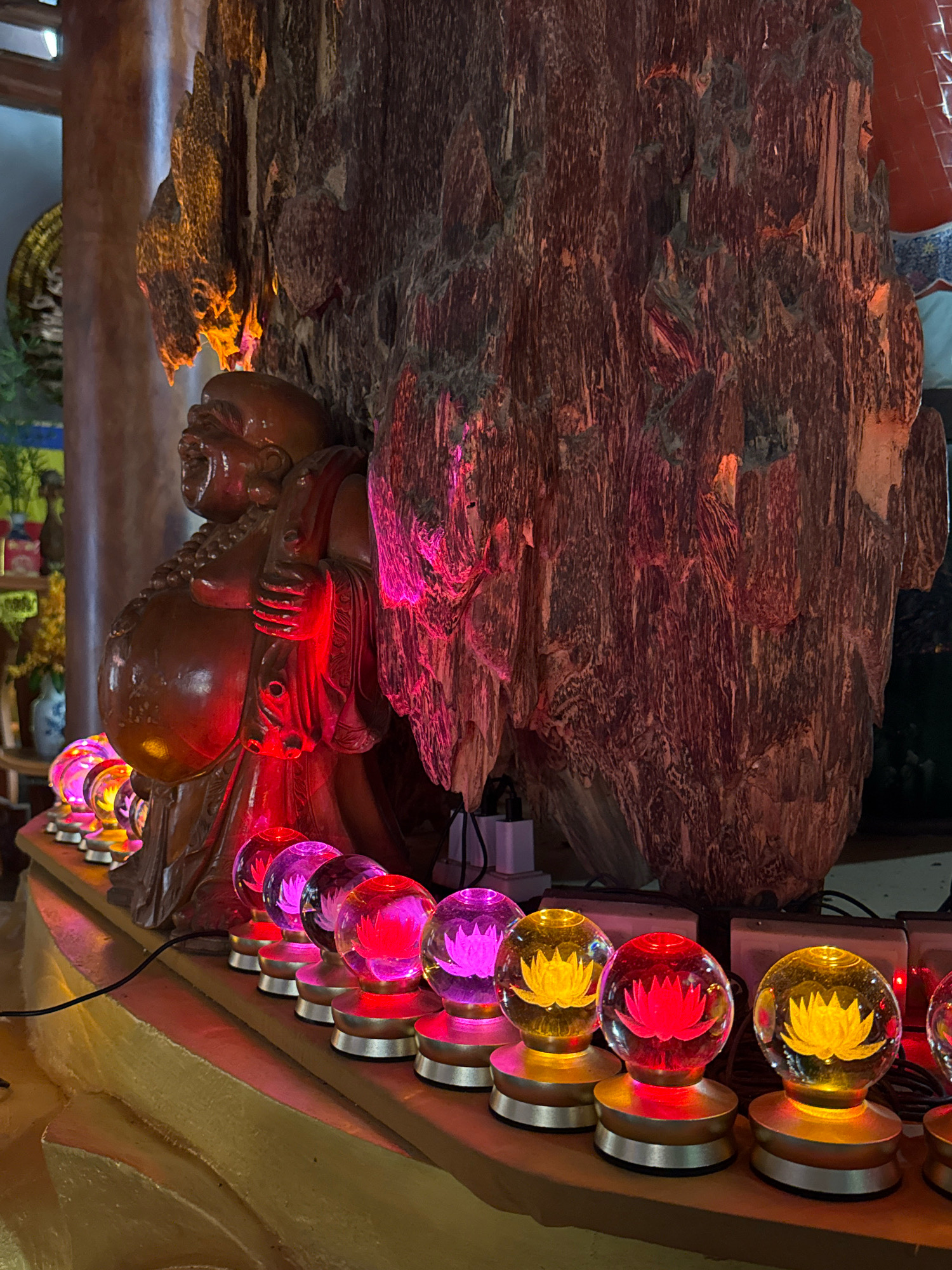 The image depicts a dimly lit interior scene, likely a place of worship or spiritual significance, with a prominent wooden sculpture and a row of illuminated lotus-shaped crystal orbs. A statue of a jovial Buddha figure, carved from dark wood, is positioned to the left of a large, textured wooden structure that dominates the background. The wood exhibits a rough, gnarled texture, with vertical grain patterns and deep crevices, illuminated by reddish-pink and orange light that highlights its contours.
In the foreground, a line of crystal spheres, each containing an etched lotus flower, is arranged on a curved, golden-brown surface. These orbs are lit from within, casting colorful light that transitions from purple on the left to red and yellow towards the right. A black electrical cord snakes along the surface, connecting to some of the illuminated objects. Behind the wooden sculpture, power adapters and other electronic devices are visible. In the background, to the left, glimpses of a painting or tapestry with floral motifs and a pale blue vase with yellow flowers can be seen, suggesting a decorative element. The overall ambiance is one of warmth and spiritual tranquility, enhanced by the interplay of light and shadow.
This scene is located within the Chua Tu Van (also known as the Tu Van Pagoda) in Nha Trang, Vietnam. The pagoda is renowned for its impressive architecture and its collection of sculptures, particularly those related to Buddhism and local folklore. The large wooden sculpture is a significant feature of the pagoda, often referred to as the "Agarwood Pagoda" due to the use of fragrant agarwood in its construction and decoration. The illuminated lotus orbs are commonly used as decorative elements and offerings in Vietnamese temples and pagodas, symbolizing purity and enlightenment.