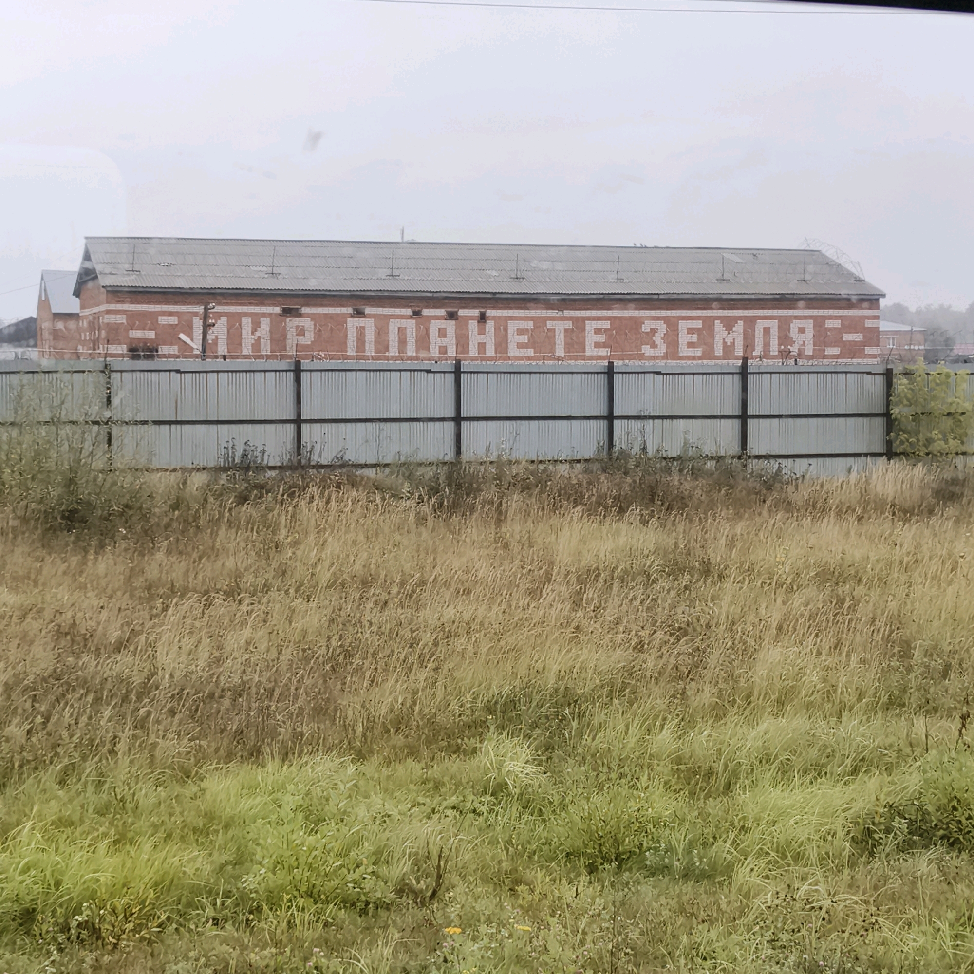 The image shows a long, low-rise brick building with a corrugated metal roof, situated behind a tall metal fence topped with barbed wire. White lettering, spelling "МИР ПЛАНЕТЕ ЗЕМЛЯ" (Peace to Planet Earth), is painted across the upper portion of the building's facade. The building appears industrial or utilitarian. In front of the fence, there is a dense field of dry, golden-brown grass and some green vegetation, suggesting an outdoor, possibly rural or semi-rural setting. The sky is overcast and light gray. The city of Lyuga, Russia, is mentioned as the location.