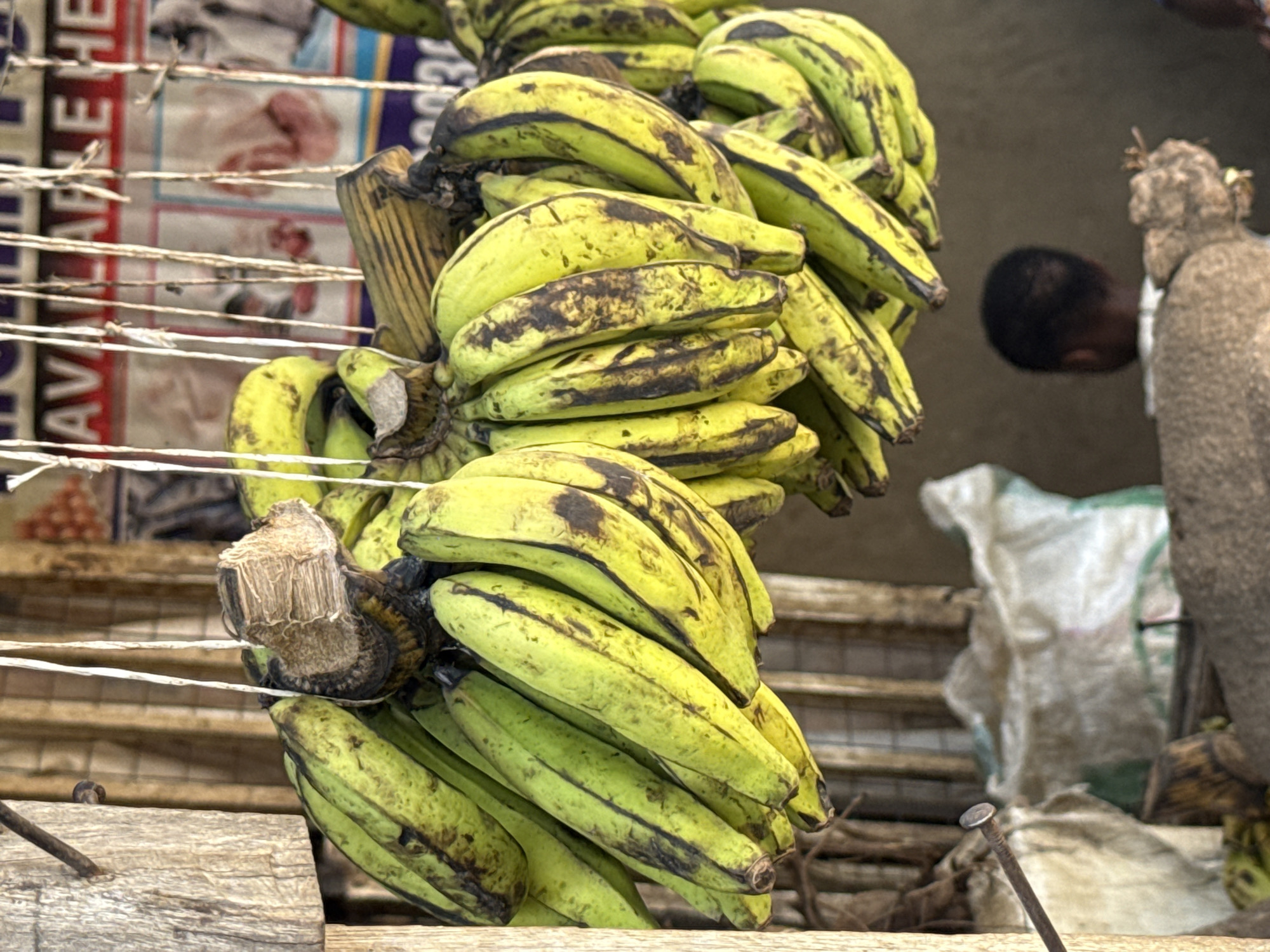 The image depicts a display of green and yellow plantains, likely at a market in Abuja, Nigeria. The plantains are clustered in bunches and are showing signs of ripening with brown spots. They are suspended by rope or string from a wooden structure. In the background, out of focus, there's a person and possibly packaging materials. The scene suggests a local marketplace, and the plantains seem to be offered for sale.