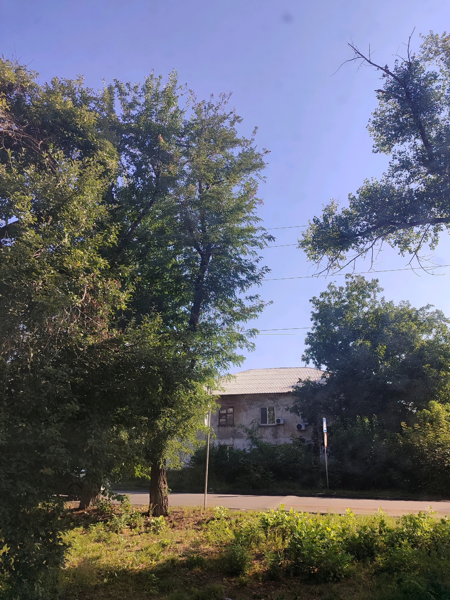 The image depicts a street-level view of a residential building partially obscured by lush green trees and foliage under a clear blue sky. The building appears to be a two-story structure with a light-colored, textured facade and a corrugated roof. Windows and air conditioning units are visible on the building's exterior. A road runs horizontally across the foreground, with a patch of dry grass and vegetation on the side. Several mature trees with dense green canopies are prominent in the scene, with their branches extending towards the sky. Electrical wires are strung between poles in the distance. A traffic sign is present on the right side of the road. The lighting suggests it is daytime.