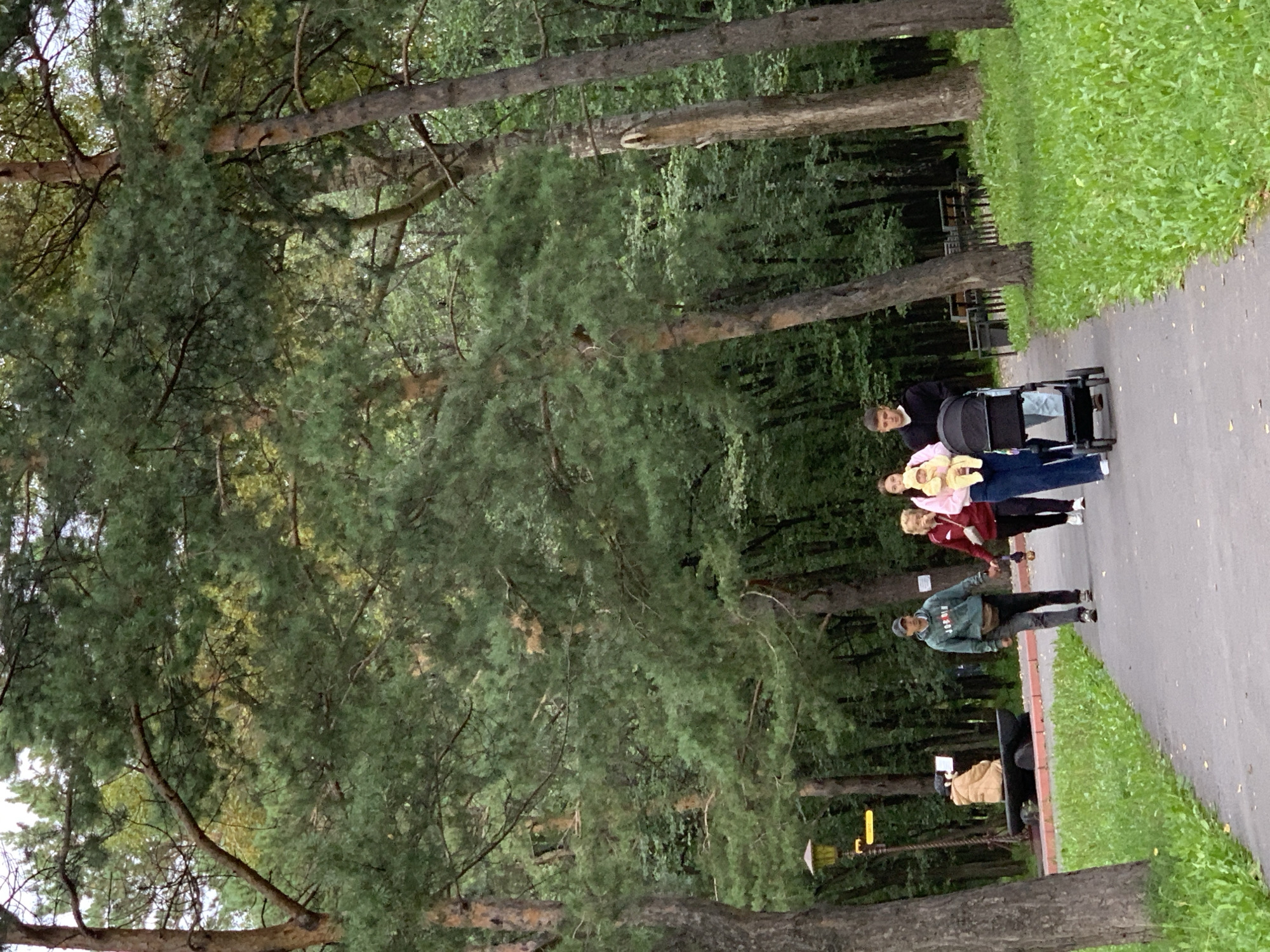 This image depicts a park scene in Prokopyevsk, Russia. In the foreground, a paved path winds through a grassy area bordered by trees. A family is walking along the path. A man in a green hoodie and a fanny pack walks ahead, holding hands with a woman in a burgundy jacket. Behind them, a younger couple walks together; the woman is carrying a baby in a yellow outfit, and the man is pushing a black stroller. To the left, a lamp post stands near a park bench with a figure seated on it, wearing a tan jacket and holding something resembling a tablet. The background is filled with dense trees, characteristic of a park environment.