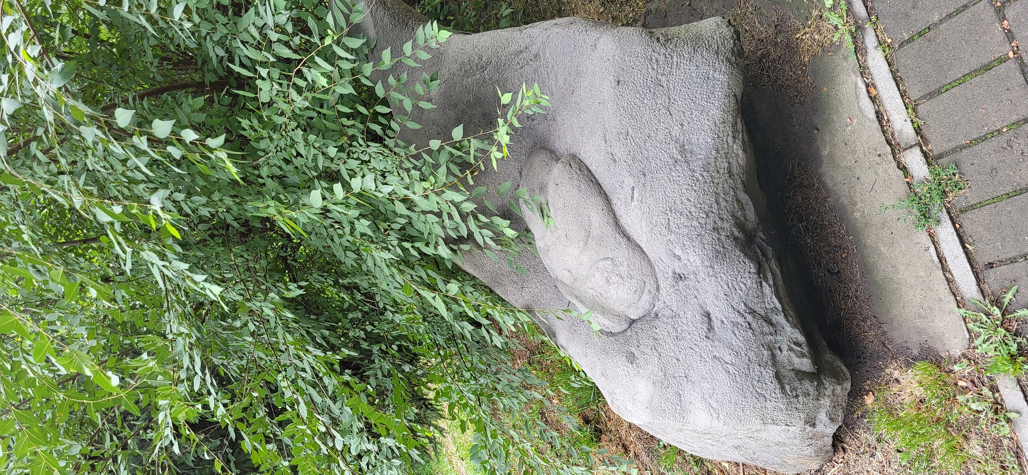 A rough-textured, grey stone sculpture resembling a large, flattened foot is partially obscured by lush green foliage. The sculpture is situated outdoors, with a paved walkway and grass visible in the foreground. The background consists of dense greenery, suggesting a park or garden setting. No people are present in the image. The overall impression is one of natural integration with the environment. The location is identified as Oskemen, Kazakhstan.
