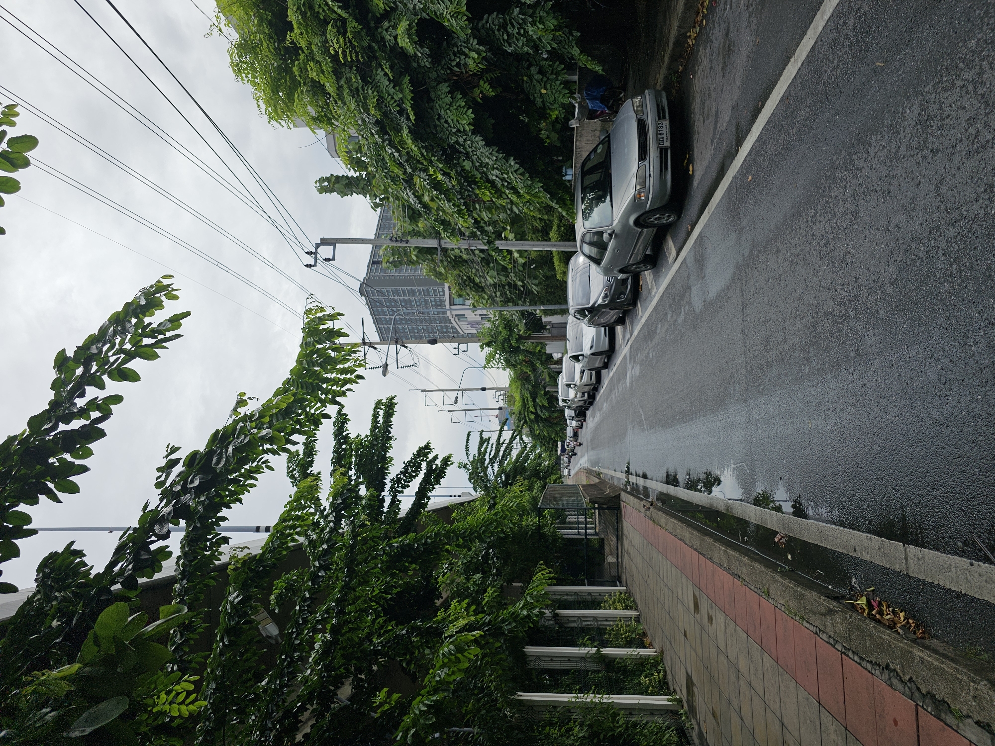 The image shows a street in Bangkok, Thailand, on an overcast day. The street is lined with parked cars on the right and a sidewalk with trees and foliage on the left. The road appears wet, suggesting it has recently rained. The sidewalk has a tiled surface with a red border. There are power lines and utility poles visible above the trees. In the background, a tall, modern building can be seen. Several cars are parked along the curb on the right side of the road, and a few motorcycles are seen further down the street. The overall scene depicts a typical urban environment in Bangkok.