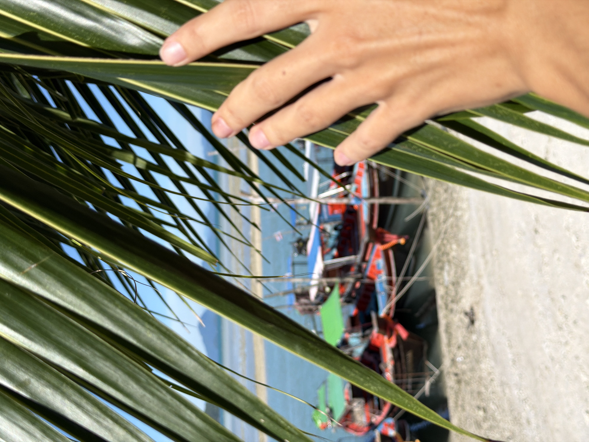 A person's hand rests on a palm frond in the foreground, obscuring a view of a tropical beach scene in Baan Thong Krut, Thailand. The hand is fair-skinned, with visible fingernails and skin texture. Behind the hand and frond, several brightly colored longtail boats are docked along the shore. The boats are predominantly red and blue, with green canopies visible on some. The water is a calm turquoise, and a hazy shoreline with distant hills can be seen in the background under a clear blue sky. The beach itself appears sandy. The image captures a serene, sunlit moment typical of a coastal location.