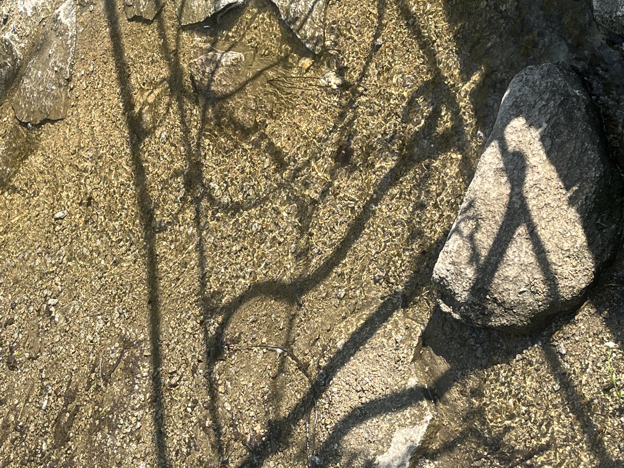The image depicts a shallow, clear body of water flowing over a bed of small, light-colored pebbles and sand. Scattered throughout the scene are several rocks of varying sizes, some partially submerged in the water and others resting on the streambed. The water surface is disturbed by ripples, creating a shimmering effect that distorts the view of the submerged pebbles and rocks.
Casting dark, elongated shadows across the water and the streambed are the branches of an unseen tree or structure overhead. These shadows are intricate and complex, with some appearing as thin, spidery lines and others as broader, more defined shapes. A single, larger rock is positioned on the right side of the frame, and its surface is also marked by these dappled shadows, suggesting it is either directly under the foliage or catching the light filtered through it.
The lighting indicates it is likely daytime, with the sun casting strong shadows. The presence of rocks and flowing water suggests a natural setting, perhaps a stream or a shallow river. The overall mood is peaceful and serene, focusing on the interplay of light, water, and the natural elements of the streambed. There is no visible text in the image.