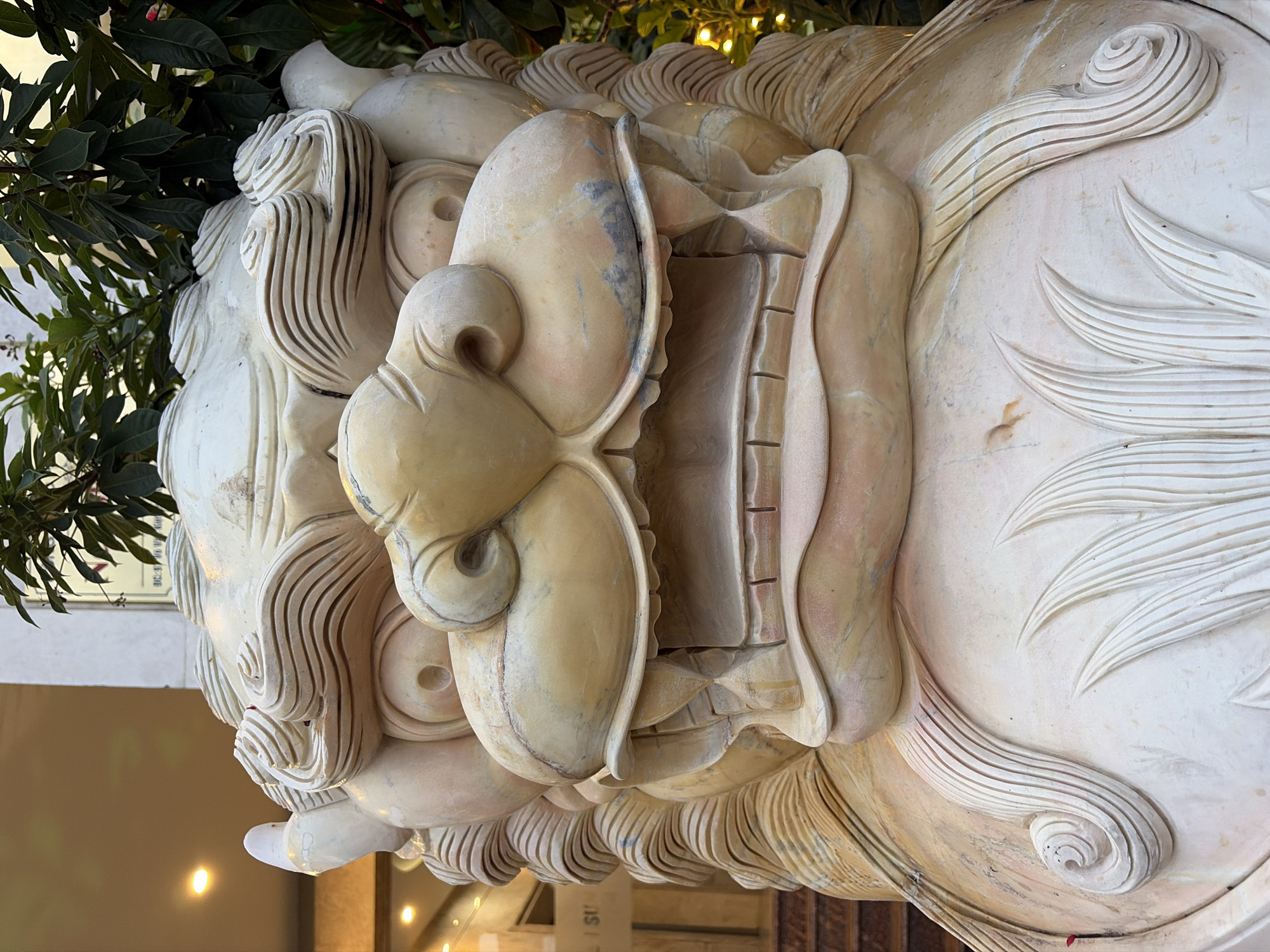 The image is a close-up, eye-level shot of a large, ornate stone sculpture of a mythical lion or guardian creature. The sculpture is predominantly pale beige with pinkish and greyish veins and streaks running through the stone. It features intricately carved details, particularly on the mane, which is rendered in layered, swirling patterns that mimic flowing hair. The face is broad and expressive, with large, round nostrils, a wide mouth open to reveal rows of carved teeth, and prominent cheekbones. The eyes are hollowed out, and the overall expression is fierce and imposing. Surrounding the sculpture are dark green, leafy branches from an overhead plant, and the background shows a building with a lit interior and some blurred golden lights, suggesting an outdoor setting, possibly near an entrance. The sculpture itself appears to be a decorative element at the entrance to a building. While the image does not explicitly indicate the city of Đà Nẵng, Vietnam, similar guardian lion sculptures are commonly found at entrances of temples, pagodas, and important buildings in Vietnam.