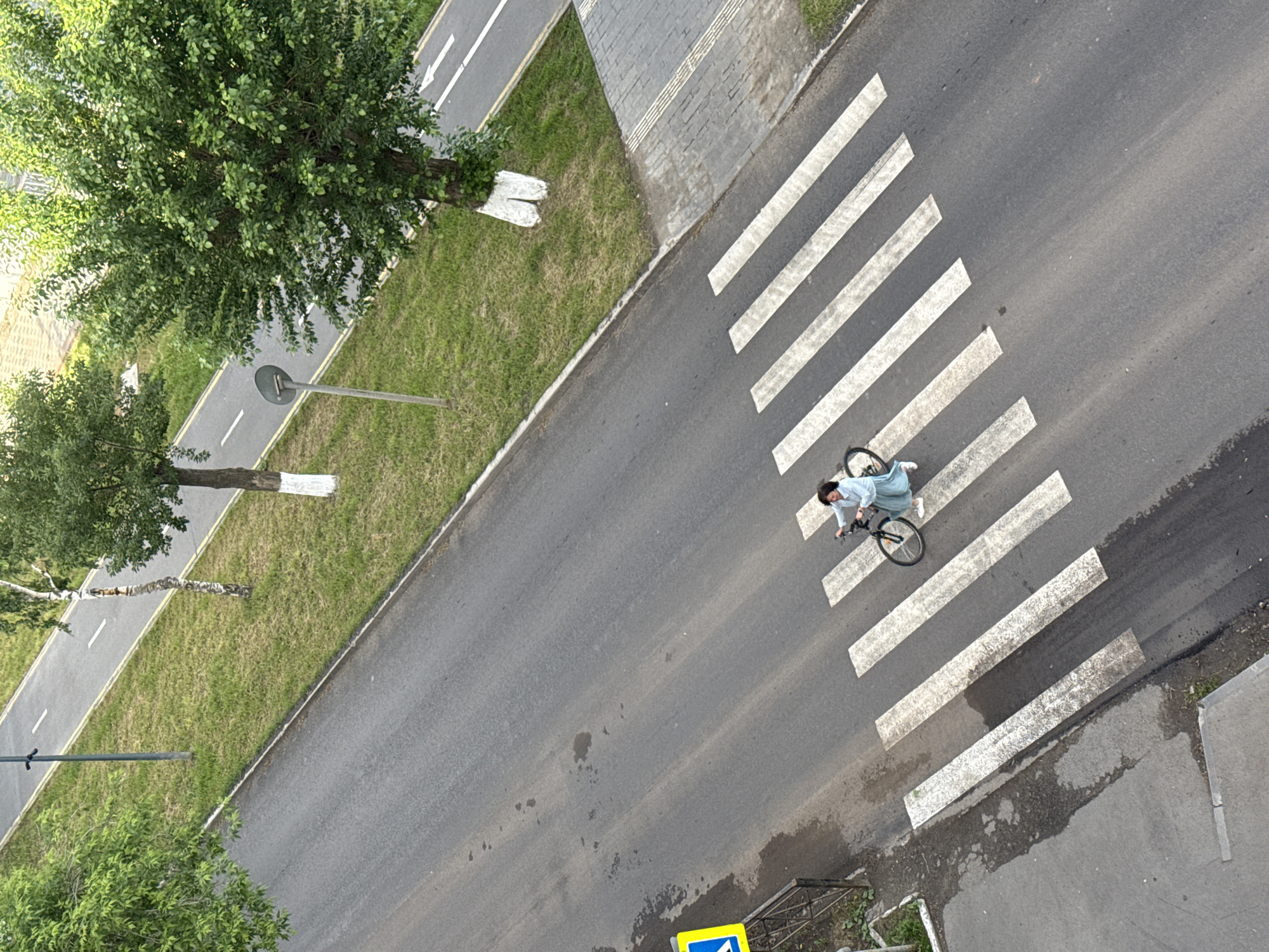 An aerial view captures a scene in Votkinsk, Russia. A woman on a bicycle is crossing a zebra crossing on a gray asphalt road. The cyclist is wearing a light-colored dress and sneakers. To the left of the road is a green strip of grass, punctuated by trees with white-painted trunks and a dedicated bicycle lane. The road is marked with a yellow and blue traffic sign at the bottom of the image. The background features trees.