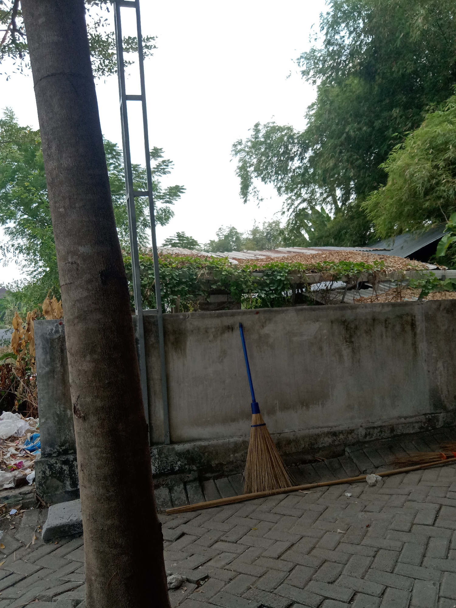 The image captures a scene with a prominent tree trunk in the foreground, positioned to the left. Behind the tree, a concrete wall runs horizontally across the frame. A blue-handled broom leans against the wall, with its straw bristles fanned out on the paved ground. Another broom, possibly a bamboo brush, lies horizontally on the paving stones to the right of the blue-handled broom. The ground is paved with interlocking gray bricks. Above the wall, a corrugated metal roof is visible, partially covered by vines and dried leaves. Dense green foliage, likely trees and bamboo, forms a backdrop against a bright, overcast sky. The environment appears to be outdoors, possibly in a residential or backyard setting. The image is taken in Sugihwaras, Indonesia.