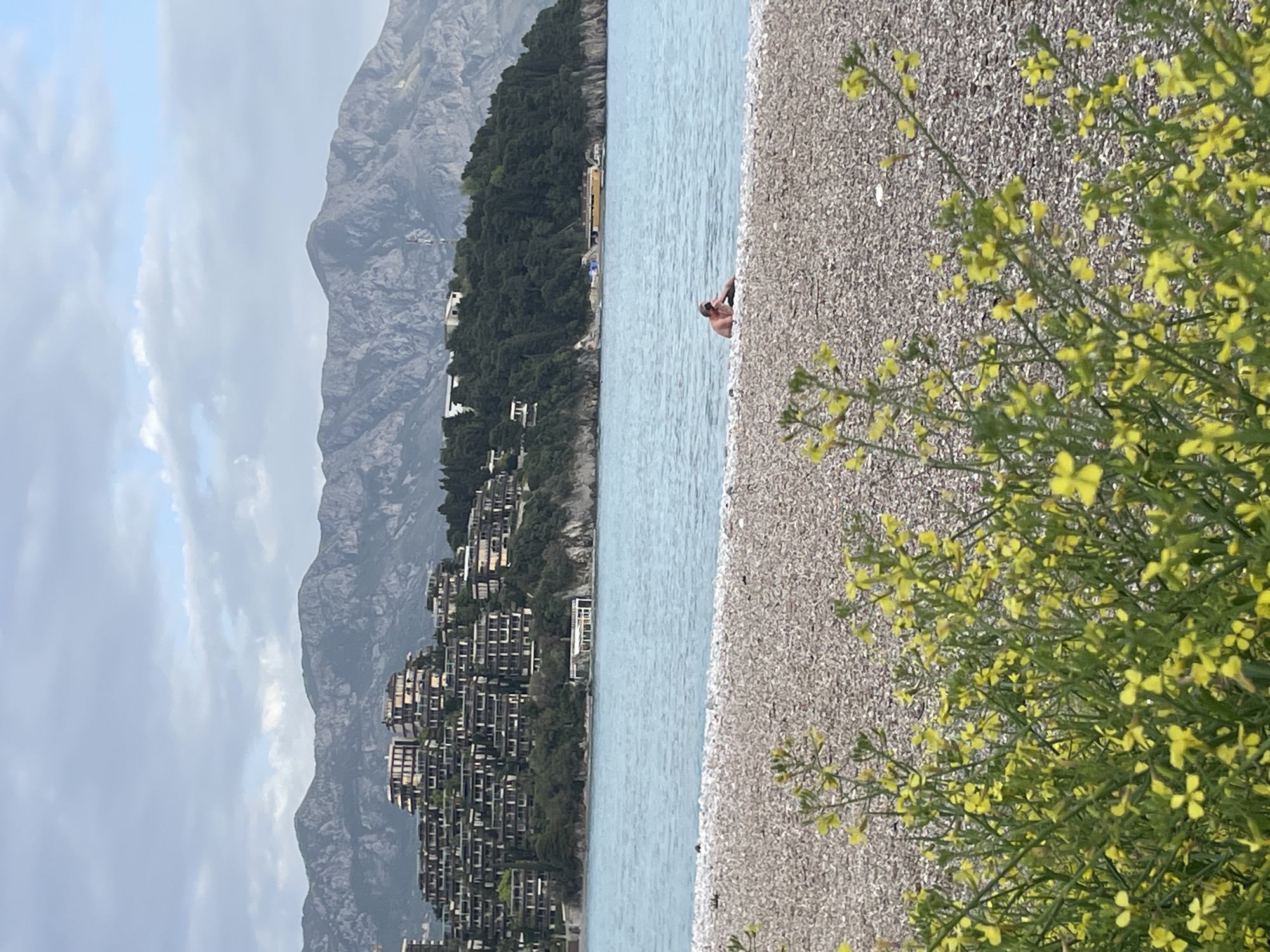 This landscape photo depicts a shoreline view in Budva, Montenegro. The image is vertically oriented. In the foreground, a bush with small yellow flowers grows on a stony beach. The beach slopes into a pale blue body of water where a person stands, partially submerged. In the background, multistory buildings are tiered up a verdant hillside that climbs into steep mountains. Overcast skies fill the upper left of the image.