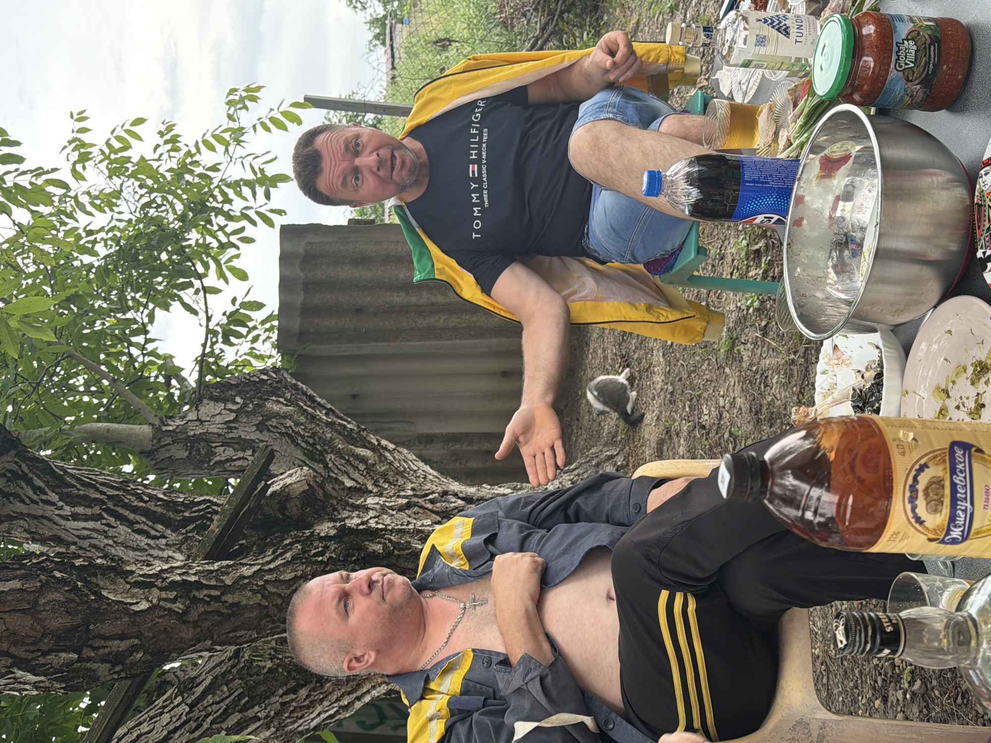 In Komsomolskiy, Russia, two men are seated outdoors under a large tree, possibly in a backyard or a rural setting. The man on the left, wearing a dark blue and yellow jacket over a bare chest and black pants with yellow stripes, sits on a light-colored plastic chair, looking to his right. He has a silver chain with a cross pendant. To his right, another man, wearing a black Tommy Hilfiger t-shirt and blue denim shorts, is seated on a green plastic chair. He is wearing a yellow jacket draped over his shoulders and appears to be speaking or reacting to something, with his mouth open and his left hand extended outwards. Between them, a small, grey and white kitten is visible on the ground. A table in front of them is laden with various items, including bottles of alcohol, a large metal bowl, plates with food, a jar of what appears to be pickled vegetables, and a bottle of Pepsi. The background shows a corrugated fence and vegetation. The lighting suggests it is daytime, with an overcast sky.