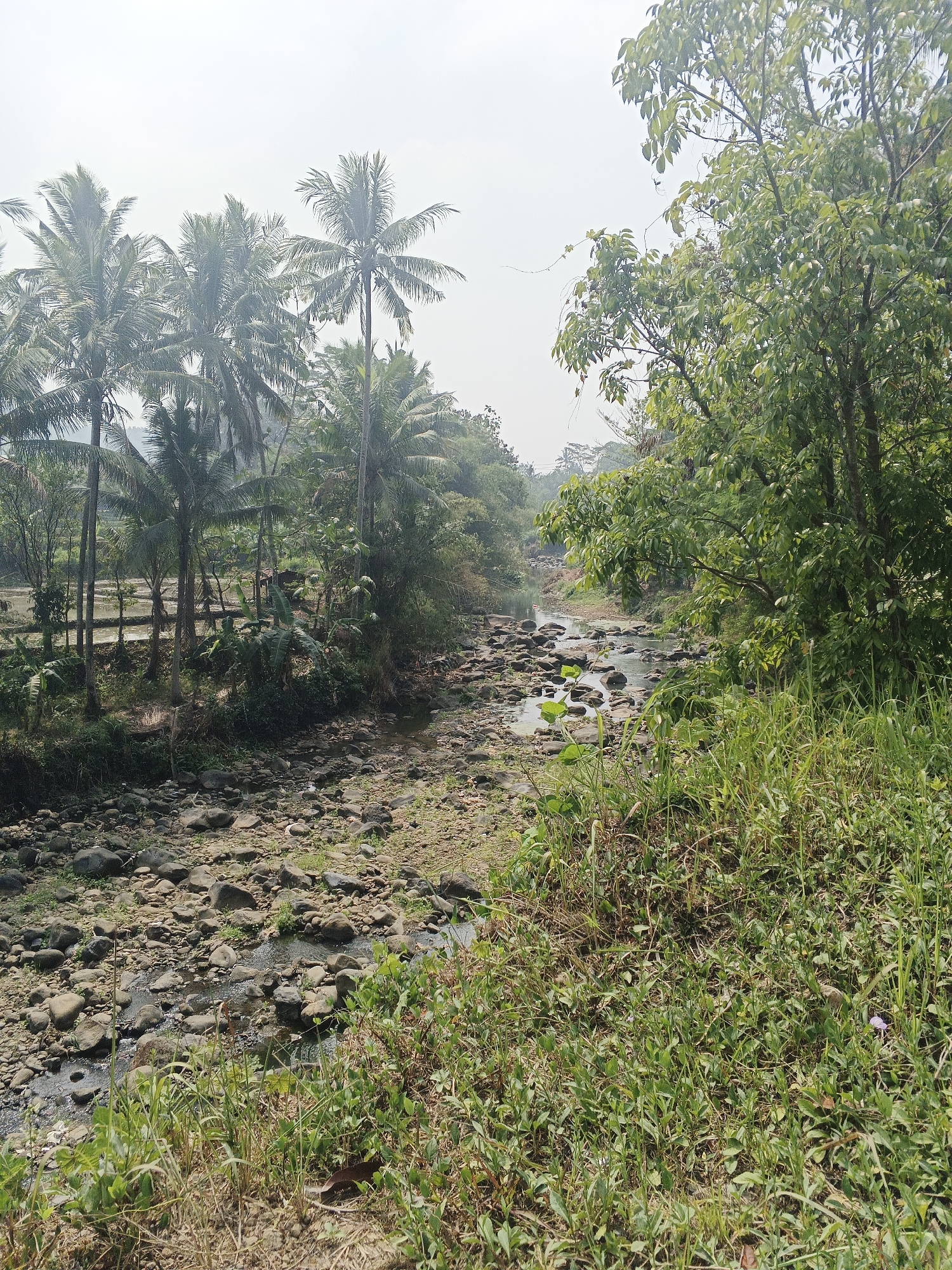 This image depicts a scenic view of a riverbed in Sukabumi, Indonesia, characterized by a dry, rocky landscape with a narrow stream flowing through it. The riverbanks are lined with lush green vegetation and tall palm trees, creating a tropical ambiance. In the background, a dense forest stretches towards the horizon under a hazy sky. The scene appears to be a natural setting, possibly a rural area or outskirts of Sukabumi, untouched by urban development. No people or animals are visible in the frame. The overall impression is one of tranquility and natural beauty.