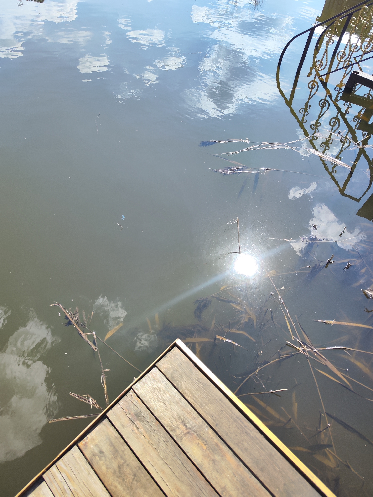 A ground-level, high-angle shot depicts a wooden dock extending into a body of water. The water reflects the sky, including clouds and a bright spot, likely the sun. Debris, possibly leaves and small branches, floats on the surface and is visible beneath the surface of the water. A section of an ornate, dark metal fence or structure is reflected in the water near the top right of the frame. The dock is made of light-colored wooden planks arranged horizontally. This is in the city of Chaikovsky, Russia.
