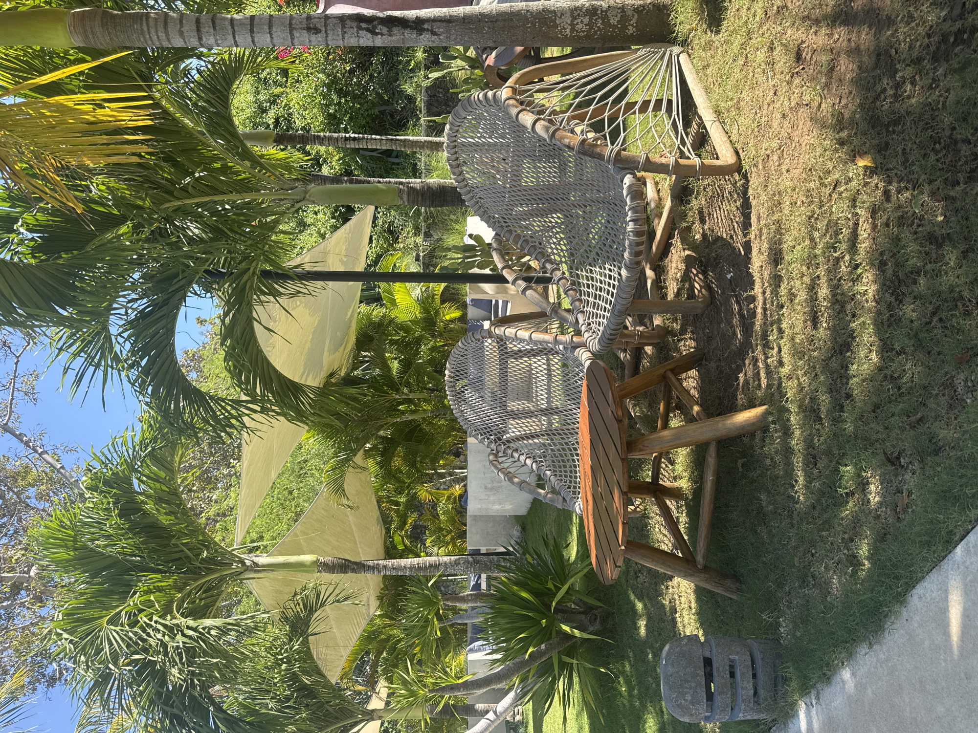 This image depicts an outdoor tropical seating area, likely within a resort or garden setting, in Nusa Penida, Indonesia. Two light-colored woven-rope chairs with wooden frames are positioned on a short-cut grassy lawn, facing each other, with a small, round wooden slatted table placed centrally between them. Bright sunlight illuminates the scene, casting distinct shadows from the chairs, table, and overhead vegetation onto the grass.
Numerous palm trees with green fronds and varying trunk textures are distributed throughout the frame, providing a natural canopy. Several light-beige fabric shade sails are suspended above, partially visible through the palm fronds and offering additional overhead coverage. The ground consists primarily of grass with some visible patches of soil. To the left, a narrow concrete pathway borders the grassy area, alongside which a stack of three grey, hollowed-out stone blocks rests.
Surrounding the seating area and extending into the background is dense tropical foliage, including broad-leafed succulent-like plants, various green bushes, and additional palm trees. In the mid-background, a light-colored concrete wall or structure is partially visible behind the plants. Further right in the background, distinct cacti are discernible among the greenery. No individuals are present, and no actions or interactions are depicted.
