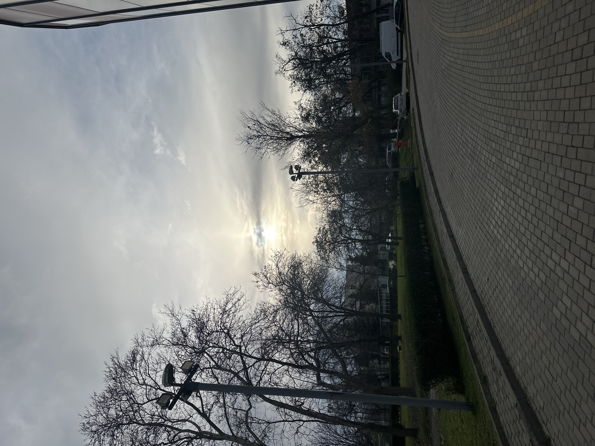 This image depicts an outdoor scene within a modern urban park or campus-like environment in Plovdiv, Bulgaria, on an overcast day. The sky is predominantly gray and cloud-covered, with the sun partially visible as a bright, diffuse glow through a break in the clouds, positioned slightly left of center in the upper portion of the frame.
Numerous deciduous trees with bare, intricate branches, indicative of late autumn or winter, are silhouetted against the sky, populating the midground and background. A small, dark bird-like silhouette is perched on the upper bare branches of a central tree in the midground. In the foreground, a wide, curving pathway constructed of gray rectangular paver blocks extends from the lower left towards the right midground. A raised concrete curb separates the paved path from a strip of green grass and a neatly trimmed dark green hedge running parallel to the path on the left. Faint yellow painted lines are visible on the path in the far right midground.
A tall, dark gray lamppost, featuring a central light fixture and two rectangular floodlights, stands prominently in the left foreground. A second, similar lamppost is partially visible further back in the midground, to the right, mostly obscured by trees. The upper right edge of a modern building with a dark-framed, light-paneled facade (possibly glass or metal) is visible, bordering the scene on the right. Several parked vehicles are discernible in the midground, partially obscured by trees and the hedge, including a white utility van, a silver sedan, and at least one dark-colored sedan. A red fire hydrant is visible next to the path in the midground, positioned slightly left of the silver sedan. No people or active interactions are present in the scene.