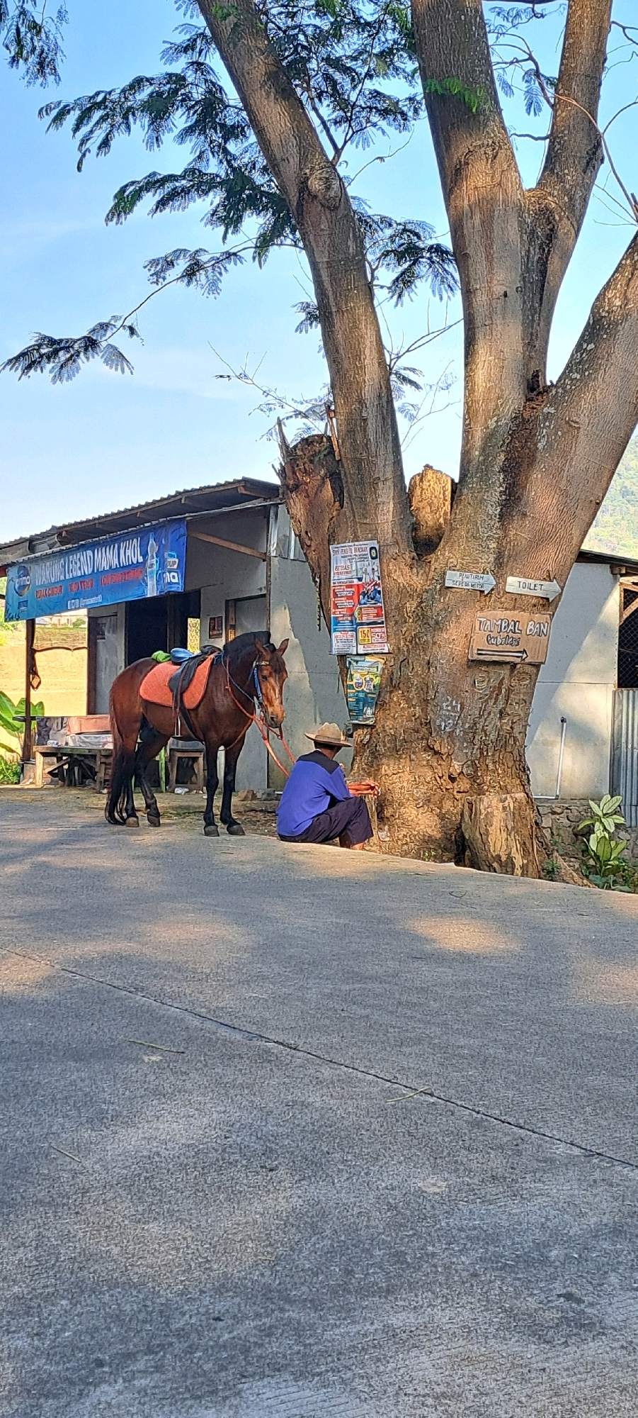 The image captures a scene in Sukoreno, Indonesia, featuring a brown horse wearing a saddle. A person in a blue shirt and dark pants, wearing a straw hat, is seated on the ground next to the horse. The person appears to be holding something in their hands, possibly food, which they are offering to the horse. Behind them, a large tree trunk is adorned with various signs, including one that reads "TOILET" and another "TAMBAL BAN" (tire repair). Adjacent to the tree is a building with a blue banner displaying "WARUNG LEGEND MAMA KHOL," indicating a small eatery. The setting appears to be a roadside, with a paved road in the foreground and a clear sky above, suggesting a daytime scene. The overall atmosphere is tranquil and rural.