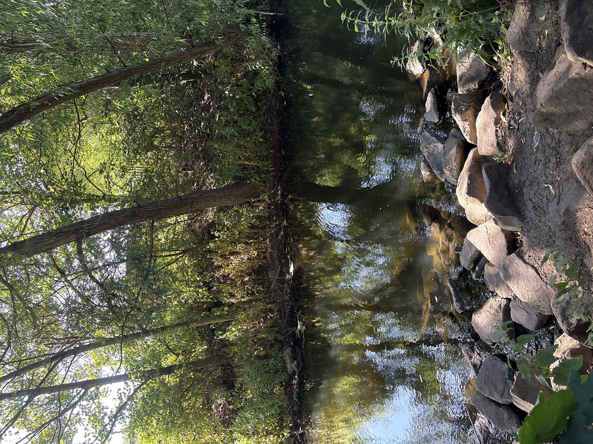 The image depicts a tranquil natural scene, likely a park or wooded area. A calm body of water, possibly a river or stream, occupies the lower half of the frame. The water's surface reflects the surrounding lush green trees and the dappled sunlight filtering through their leaves. The banks of the water are lined with rocks and dense vegetation, creating a secluded and natural ambiance. The trees are tall and mature, with their branches creating a canopy overhead. The overall impression is one of peacefulness and natural beauty. Without further information or visual cues, pinpointing the exact location in Chelmsford, United Kingdom, is not possible.