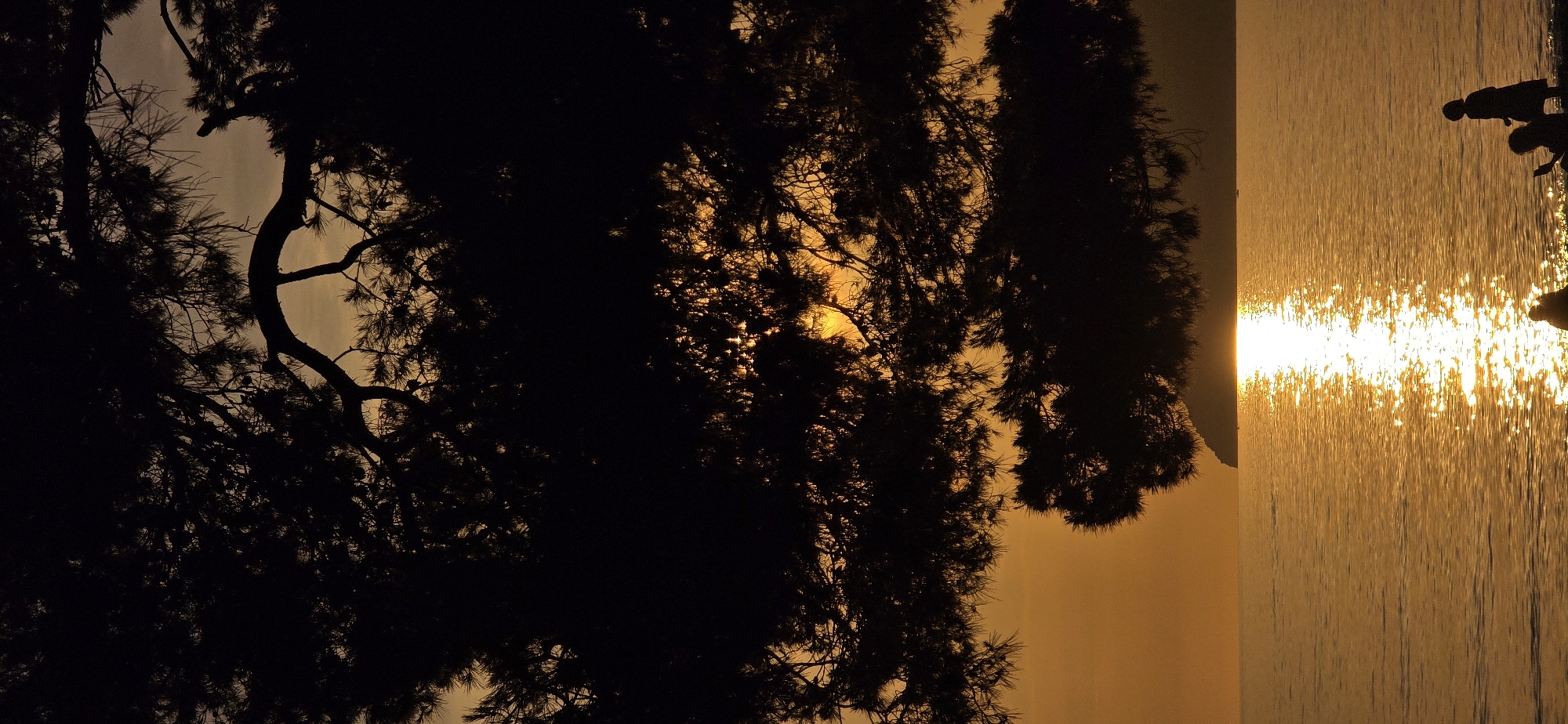 The image captures a serene sunset scene in Bar, Montenegro, with a silhouette of a tree dominating the left side. The sun's light, obstructed by the tree's foliage, creates an effect of dappled light. The sea reflects the intense golden hue of the sunset. On the right side of the frame, two human figures are visible near the shore. The environment is defined by the sea, the setting sun, and the silhouette of the tree.