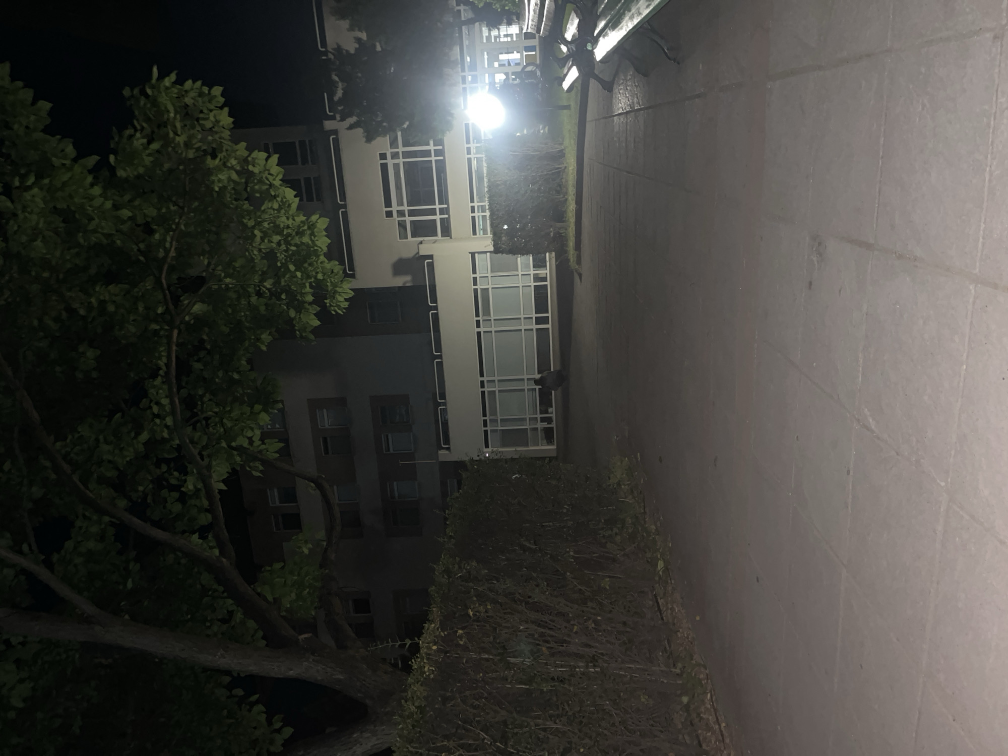 The image shows an outdoor scene at night. A multi-story building with a white and grey facade is visible, featuring rectangular windows. A large tree with green leaves partially obscures the building. A row of shrubbery separates the building from a paved walkway. A bench sits along the edge of the walkway. The scene appears to be illuminated by a street light. The location is potentially in Blagoevgrad, Bulgaria, but the image provides no explicit confirmation of this.