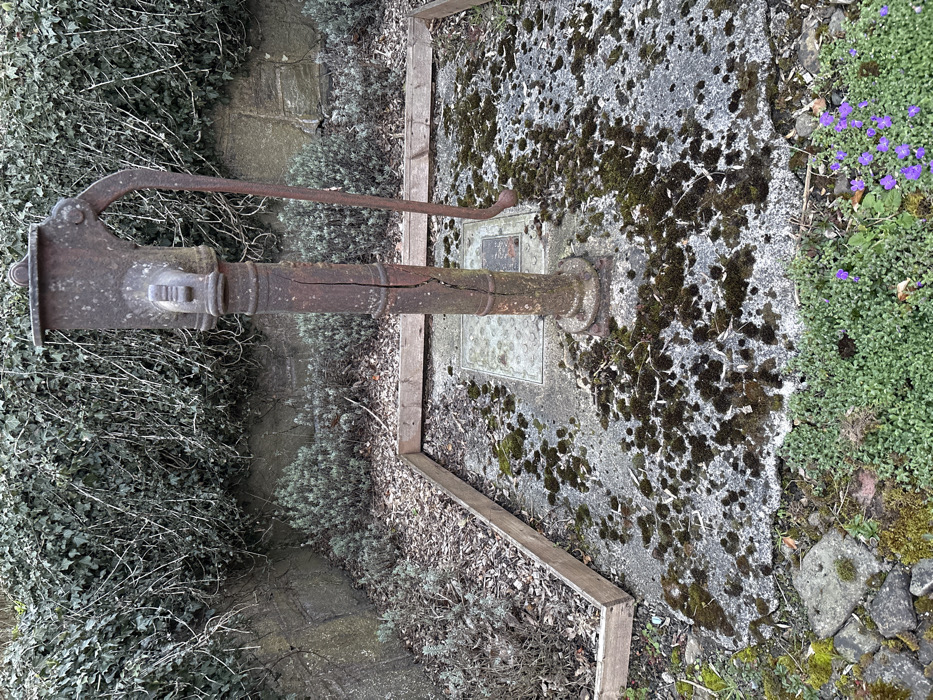 This image depicts an outdoor scene in Shelve, United Kingdom, centered on a heavily rusted, dark brown cast-iron hand water pump. The pump stands on a moss-covered concrete slab, which contains a square metal grate at its base. A prominent vertical crack runs down the front of the pump's column. The pump's handle extends downwards on the right side.
To the left and immediately behind the pump is a raised garden bed outlined by a light-colored wooden border. This bed contains dry, dark earth with scattered leaves and sparse, low-lying green/grayish-green vegetation. Behind this bed and the pump, a weathered stone wall is almost entirely covered by dense, dark green ivy.
In the immediate foreground, below the concrete slab, is an area of vibrant light green ground cover interspersed with several small purple flowers. To the far left foreground, irregular stone fragments and additional moss are visible. The scene is static, with no people, animals, or active interactions present.