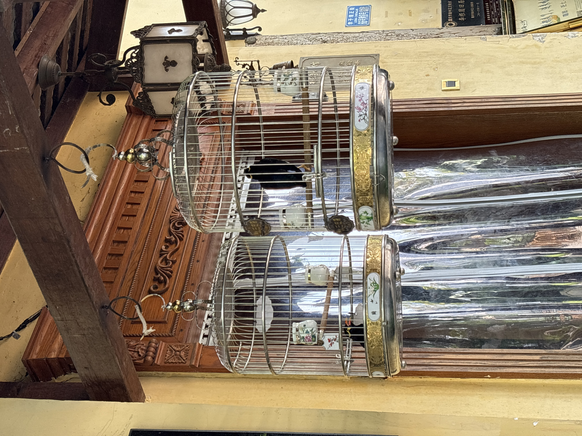 Two ornate birdcages hang from a wooden beam above a yellow wall. The cages are made of silver-colored metal with decorative gold trim around the bottom. Each cage contains at least one bird, likely a mynah bird, characterized by its dark plumage and yellow beak. Inside the cages, there are also small decorative porcelain cups and perches. The background features intricate wooden paneling and two vintage lanterns hanging from the ceiling. A reflective, crinkled material, possibly plastic sheeting, hangs from the bottom of the cages. A street sign in Chinese characters is visible on the wall to the right of the cages, suggesting the location is in Yuzhong District, China. The overall scene depicts a traditional or historical setting, possibly a shop or residence.