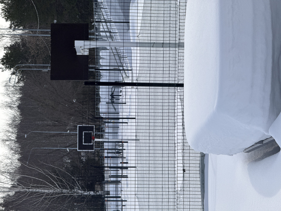 The image depicts an outdoor sports ground located within the city of Chaikovsky, Russia, during winter. The scene is characterized by widespread snow cover.
In the immediate foreground, a substantial, rectangular object with rounded edges is entirely blanketed by a thick layer of snow, resembling a snow-covered bench or table. Directly behind this, a dark, metal mesh fence with square grid patterns extends horizontally across the mid-ground, acting as a clear boundary.
Beyond the fence lies a snow-covered sports court. Two basketball hoops are visible: one centrally located on the left side of the frame with a black rectangular backboard and a visible red rim, and another partially visible on the right with a similar black backboard and a white support pole. Scattered across the snow-covered court area are various pieces of black metal outdoor exercise equipment, including multiple upright bars, horizontal bars, and structures resembling parallel bars or a dip station.
The background consists of several tall grey light poles equipped with luminaires, positioned behind the sports equipment. Further back, a dense line of bare deciduous trees, including prominent white-barked birch trees, stands before a darker mass of evergreen conifer trees. The sky above is overcast and bright, suggesting a dull winter day. There are no people visible, and no active sports or interactions are occurring.