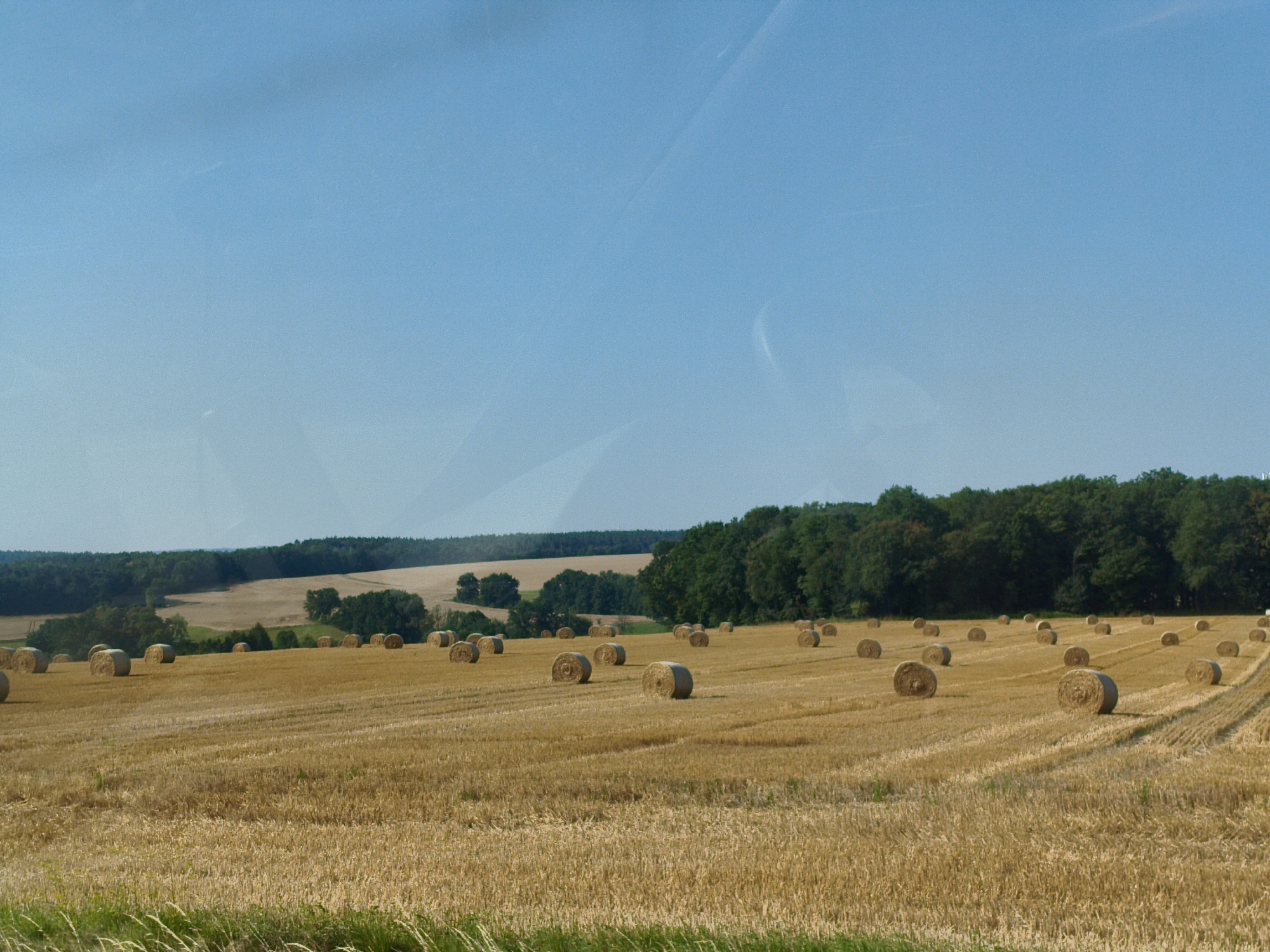 The image depicts a vast, golden wheat field dotted with numerous round bales of hay. The field stretches towards a dense line of dark green trees that form a horizon under a clear, pale blue sky. The sun appears to be shining brightly, casting a warm glow on the landscape and creating a peaceful, rural scene. The bales of hay are arranged in a scattered pattern across the field, indicating that the harvest has recently been completed. In the foreground, the wheat stalks are still standing, suggesting that the area closest to the viewer has not yet been baled or harvested. The overall impression is one of agricultural abundance and the tranquil beauty of the German countryside, specifically the area around Eineborn.
