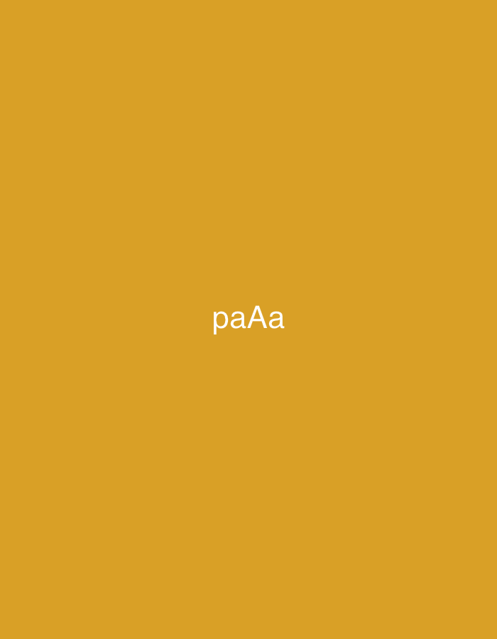 The image displays a plain, solid background in a uniform shade of mustard yellow or golden orange. Centered on this background, the text "paAa" is written in white, sans-serif letters. There are no discernible people, objects, or a specific scene beyond this color field and text. No activity or event is taking place. The minimalist nature of the image offers no notable details regarding time of day, weather, or specific location cues within Santa Ana, Venezuela, other than the provided contextual information. The visible text is "paAa".
