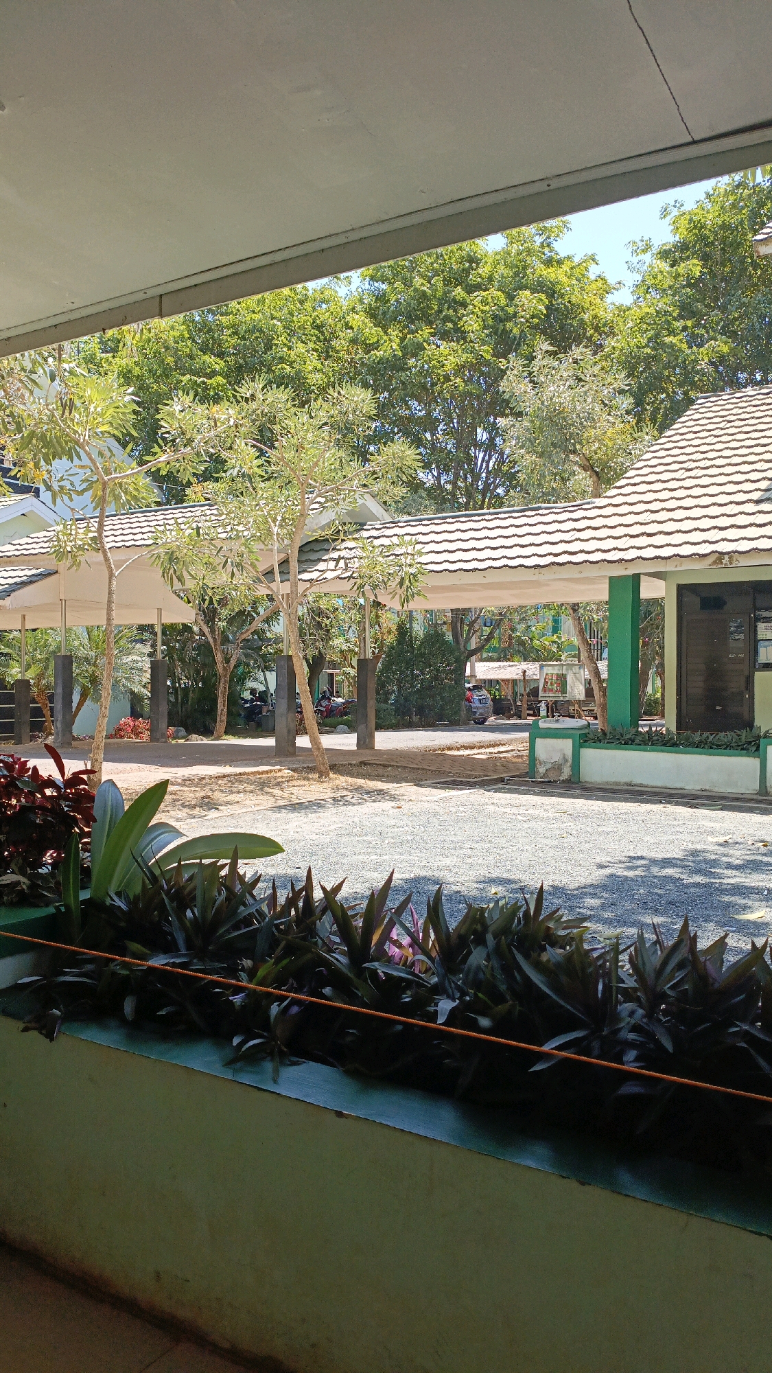 The image depicts an outdoor scene in Desa Pabahanan, Pelaihari, Tanah Laut, Indonesia. In the foreground, there is a planter box filled with dark green and purple-hued plants, with an orange cord running horizontally across the top of the plants. Beyond the planter box, a gravel-covered area is visible, leading to a covered walkway with a tiled roof supported by pillars. Several trees with green foliage are scattered throughout the scene, some with slender trunks and light-colored leaves. In the middle ground, under the walkway, a few motorcycles and a light-colored car are parked. The background is dominated by lush green trees and a clear blue sky. The architecture suggests a public building or institution, with the covered walkway likely connecting different parts of the structure. The overall impression is one of a sunny day in a well-maintained outdoor environment.