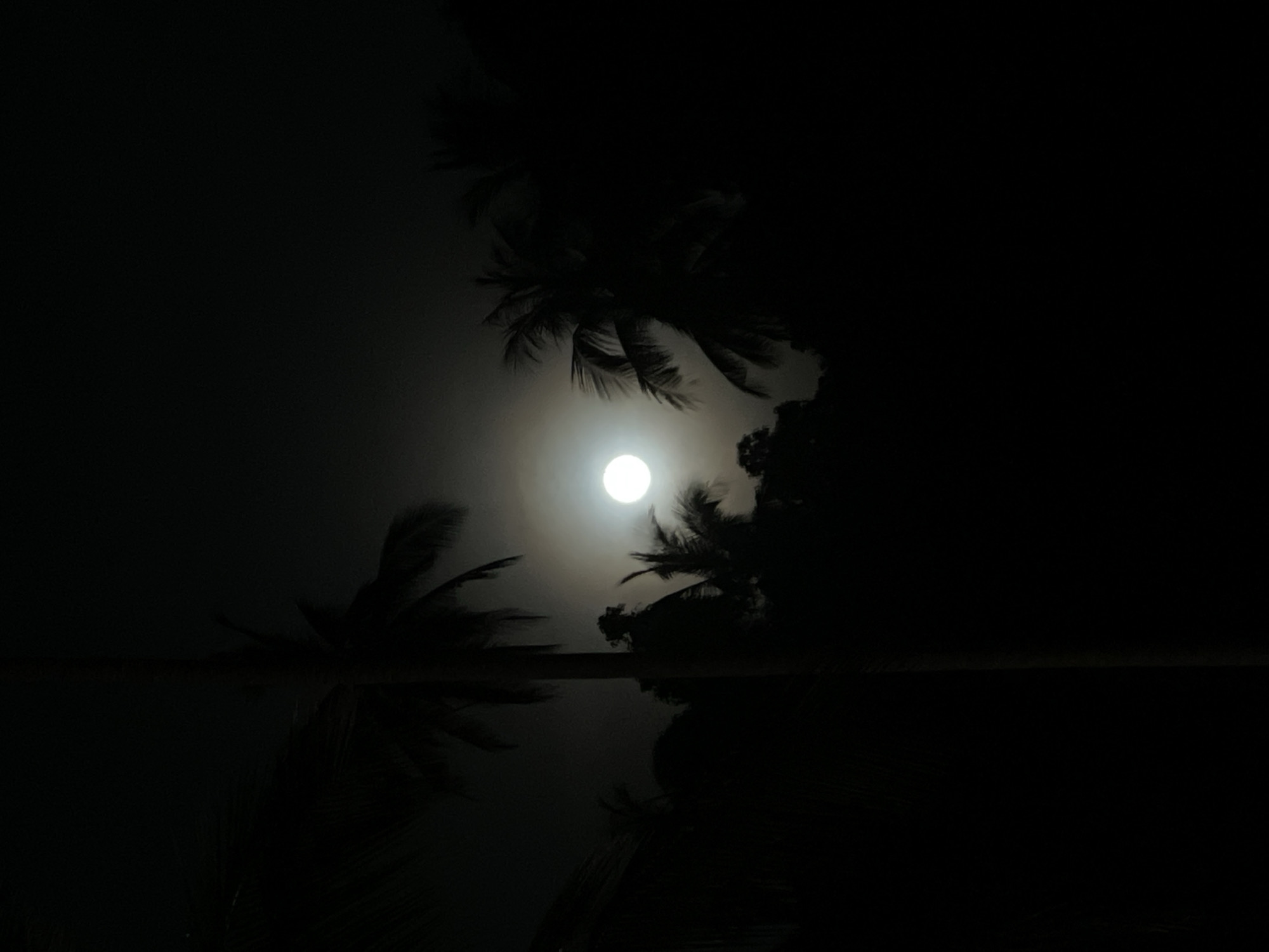 The image depicts a serene moonlit night scene in Baan Taling Ngam, Thailand. A brilliant, full or near-full moon is the central subject, glowing intensely in the upper-middle portion of the frame. Its bright light illuminates a hazy sky, creating a soft halo effect around it.
Silhouetted against the bright moonlight are several dark palm trees. Their fronds are visible from the top, left, and right sides of the frame, appearing as jagged, feathery shapes that frame the moon. Some fronds, particularly on the left, show a slight blur, suggesting a gentle movement.
Below a subtle horizon line, a calm body of water, likely a pool or the ocean, reflects the scene above. The moon's radiant glow and the dark outlines of the palm fronds are mirrored on the water's surface, though the reflections are slightly diffused and elongated. The overall palette consists of deep blacks for the darkest areas, various shades of gray in the sky and water, and the stark white of the moon.
The scene is entirely devoid of people or discernible activity, emphasizing a natural, tranquil ambiance. There is no visible text present. The photograph captures a moment of quiet nocturnal beauty in a tropical setting.