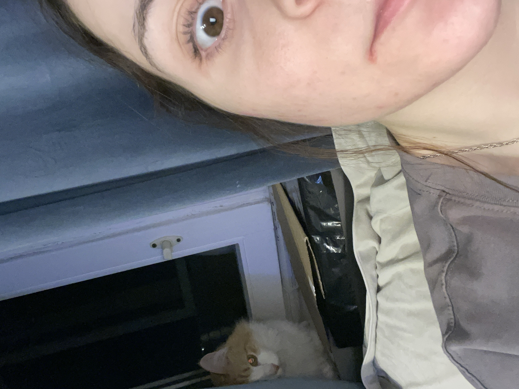 The image, rotated counter-clockwise, features a close-up of a person's upper face and chest in the upper half, with a cat and a window occupying the lower half.
A person, with fair skin and brown eyes, is positioned in the upper right quadrant of the image. Their left eye is wide open and looking directly towards the viewer, conveying a sense of surprise or alertness. Their lips are slightly parted, revealing a natural pink color. Dark hair frames their face, and a silver chain necklace is visible on their neck, worn over a grey garment layered with a lighter one. The person appears to be resting on a blue or grey pillow or cushion, parts of which are visible in the upper left.
In the lower left and center of the frame, a fluffy white and ginger cat lies near a window. The cat has prominent red-eye effect in its visible eye, suggesting it's looking towards a light source or the camera. The window beyond the cat appears dark, indicating it is nighttime or a very dim environment outside. A white window frame and a white latch are clearly visible. To the right of the cat and window, there's a dark, possibly cardboard box or fabric structure.
There is no visible text in the image.