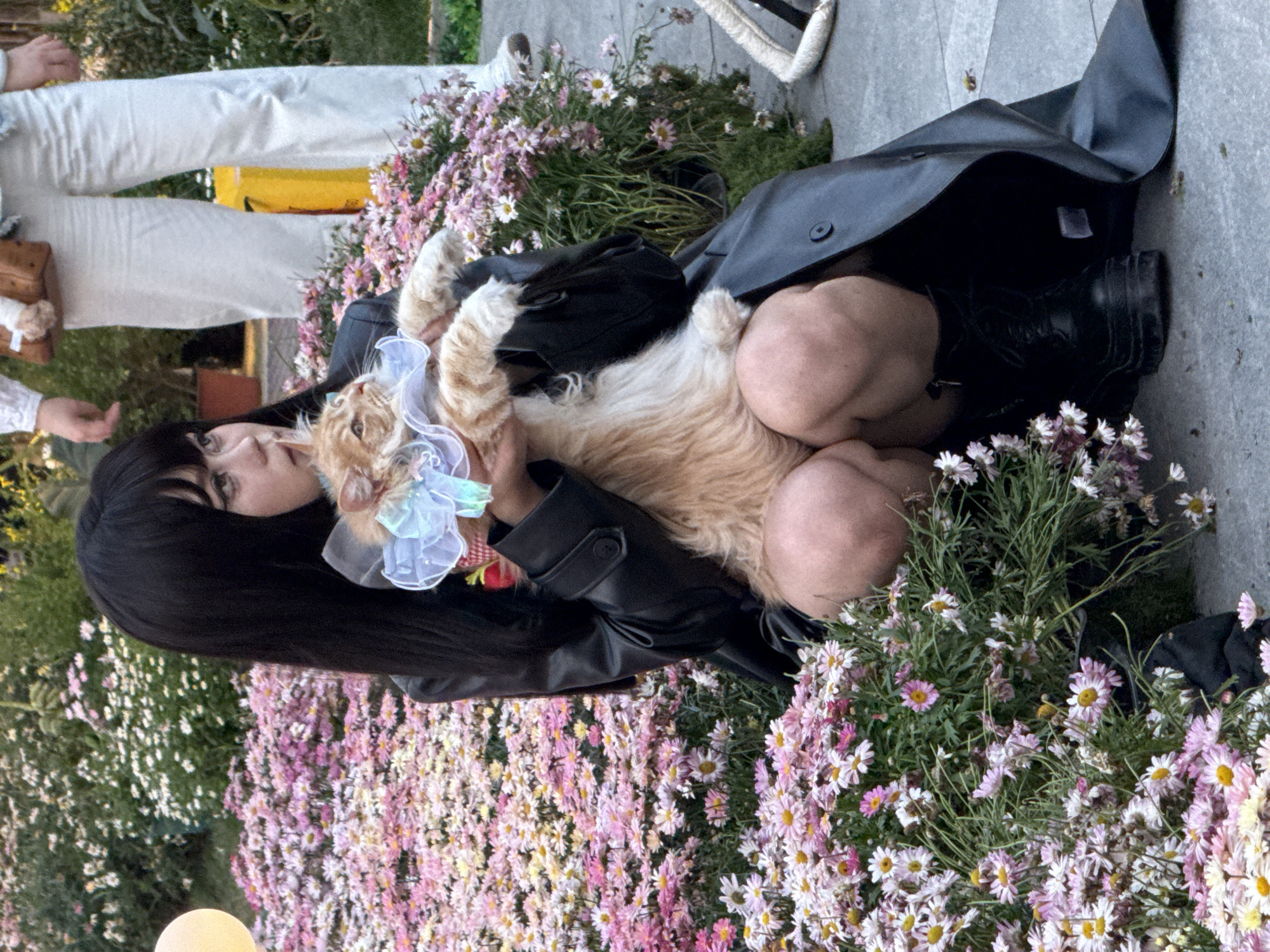 A person with long black hair is holding a fluffy ginger cat in their arms, which is wearing a light blue frilly collar. The person is wearing a black leather coat and appears to be kneeling amidst a field of pink and white daisy-like flowers. Part of their lower legs in black boots are visible. In the background, there are blurred figures, including a person in white pants and another holding a brown object. The scene appears to be outdoors in daylight, surrounded by foliage and flowers. There is no information provided to confirm the location as Liangjiang, China.